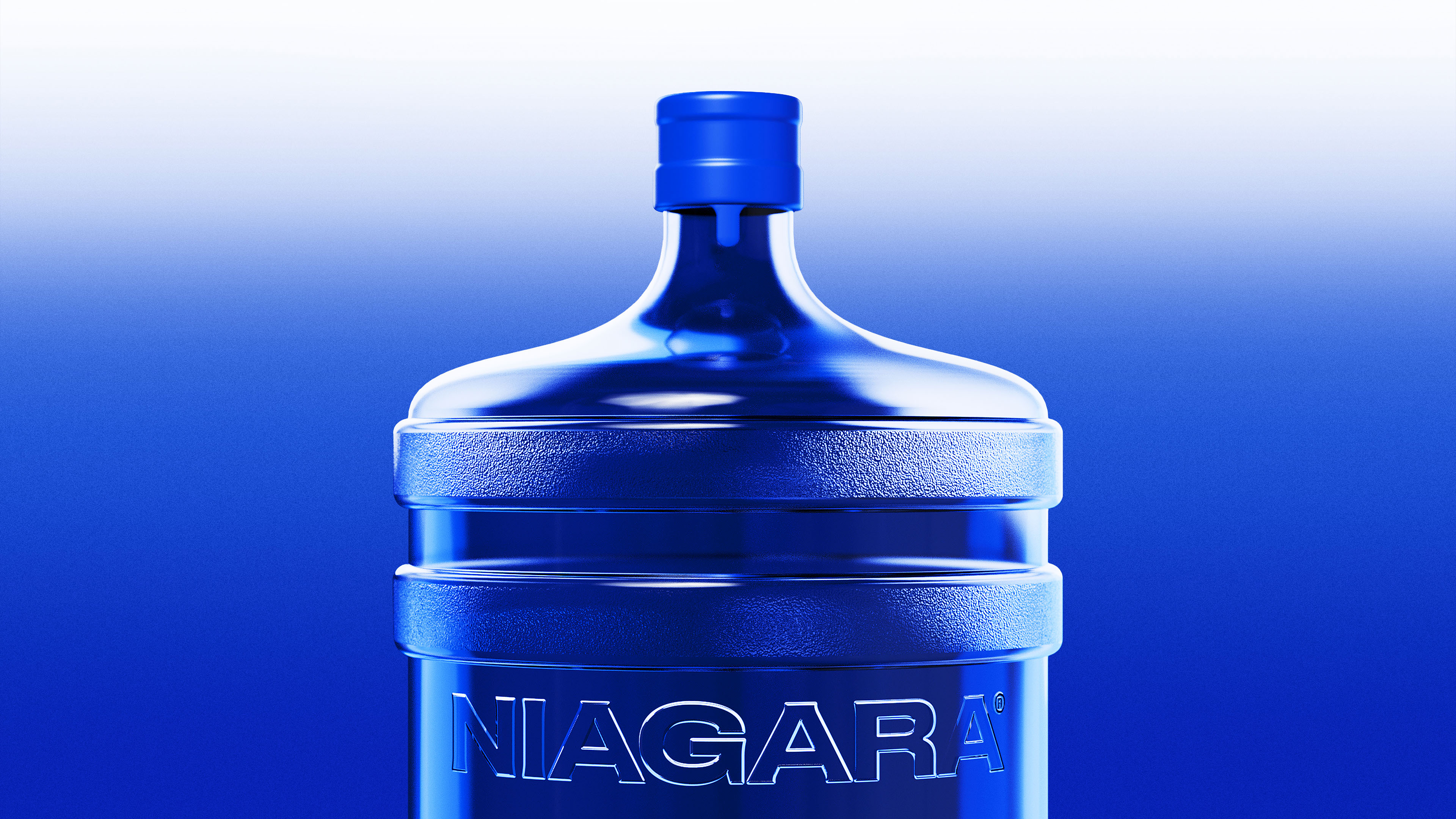Niagara — Изображение №1 — Брендинг, Графика на Dprofile