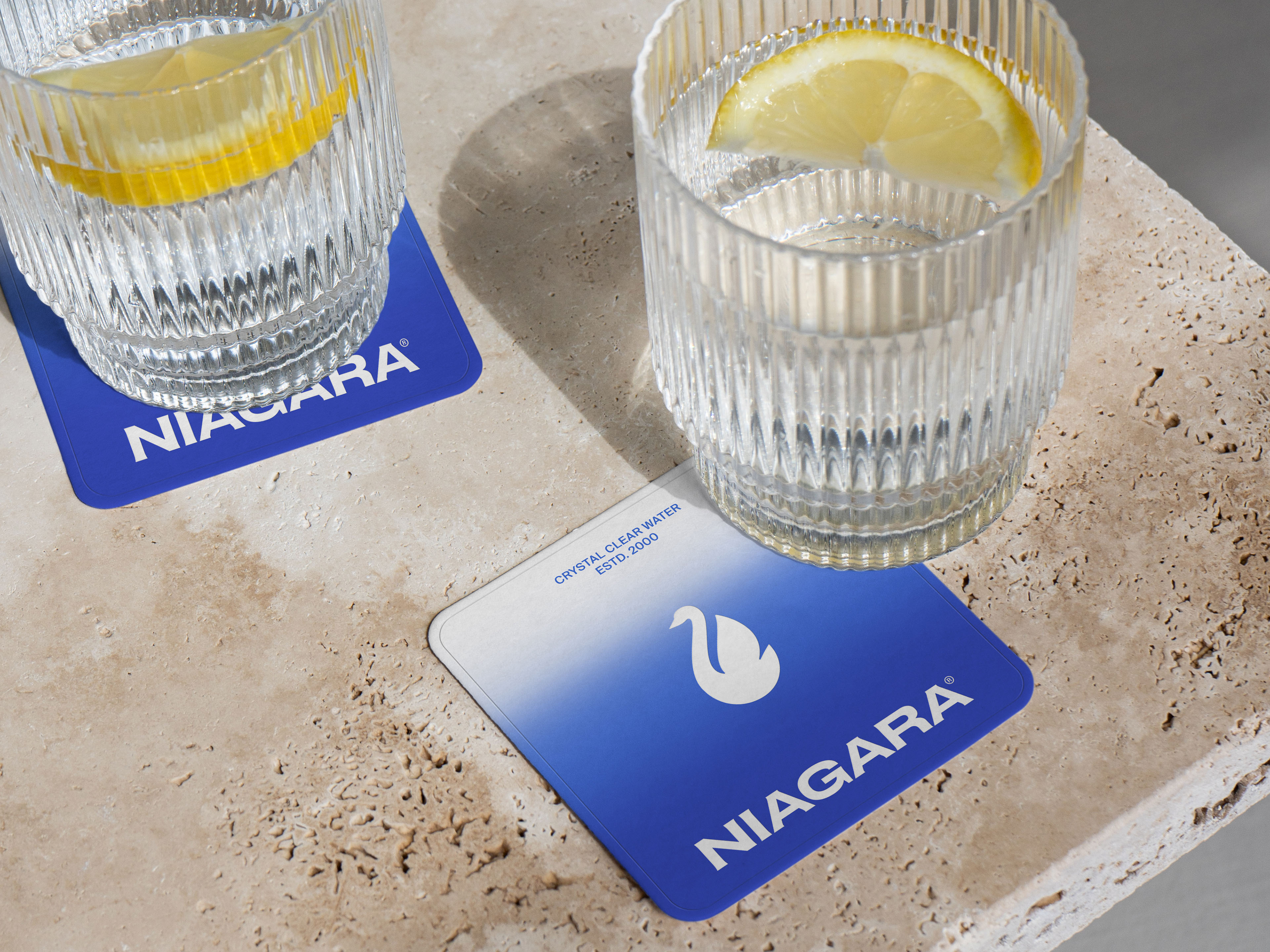 Niagara — Изображение №22 — Брендинг, Графика на Dprofile