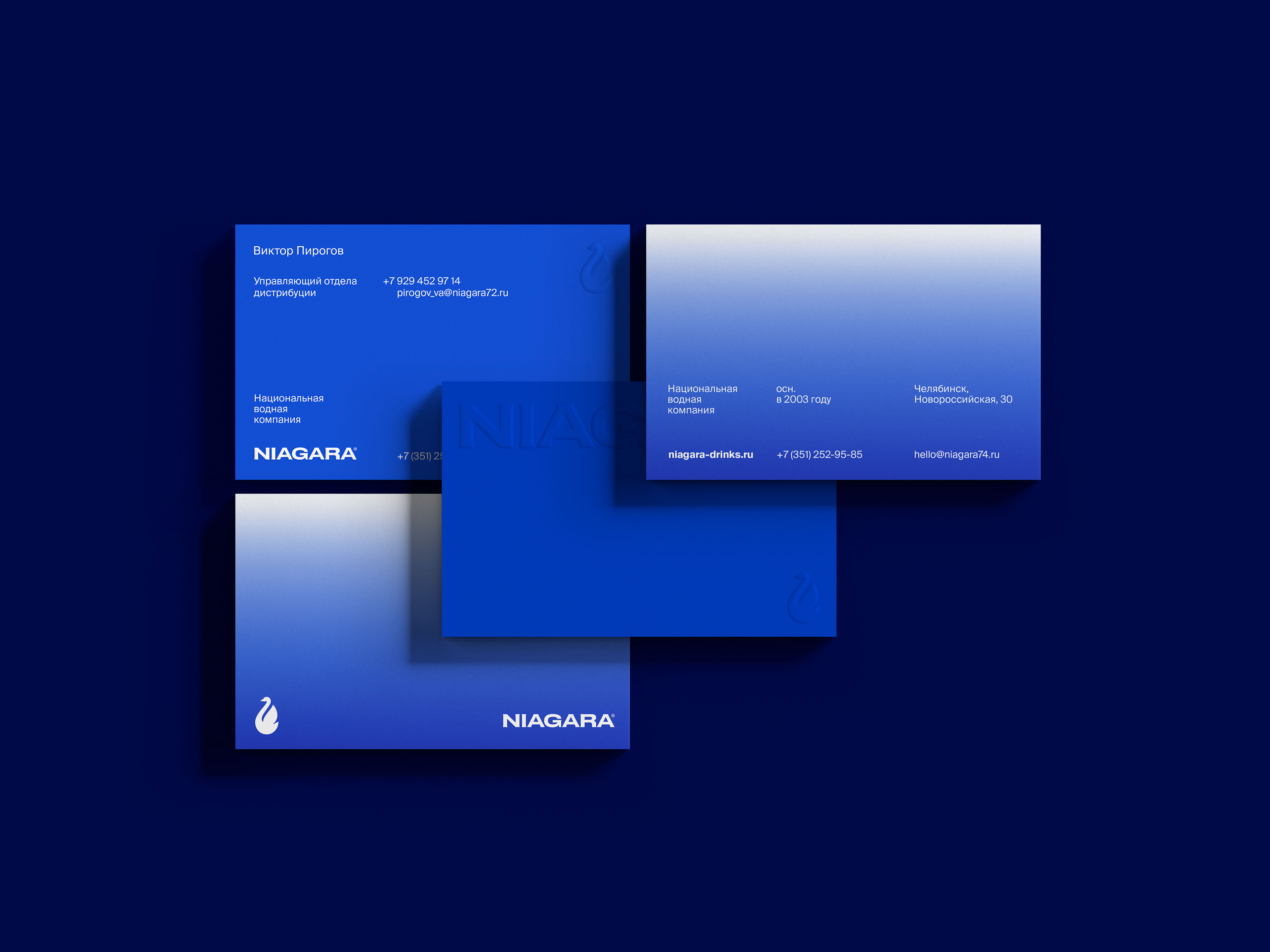 Niagara — Изображение №9 — Брендинг, Графика на Dprofile