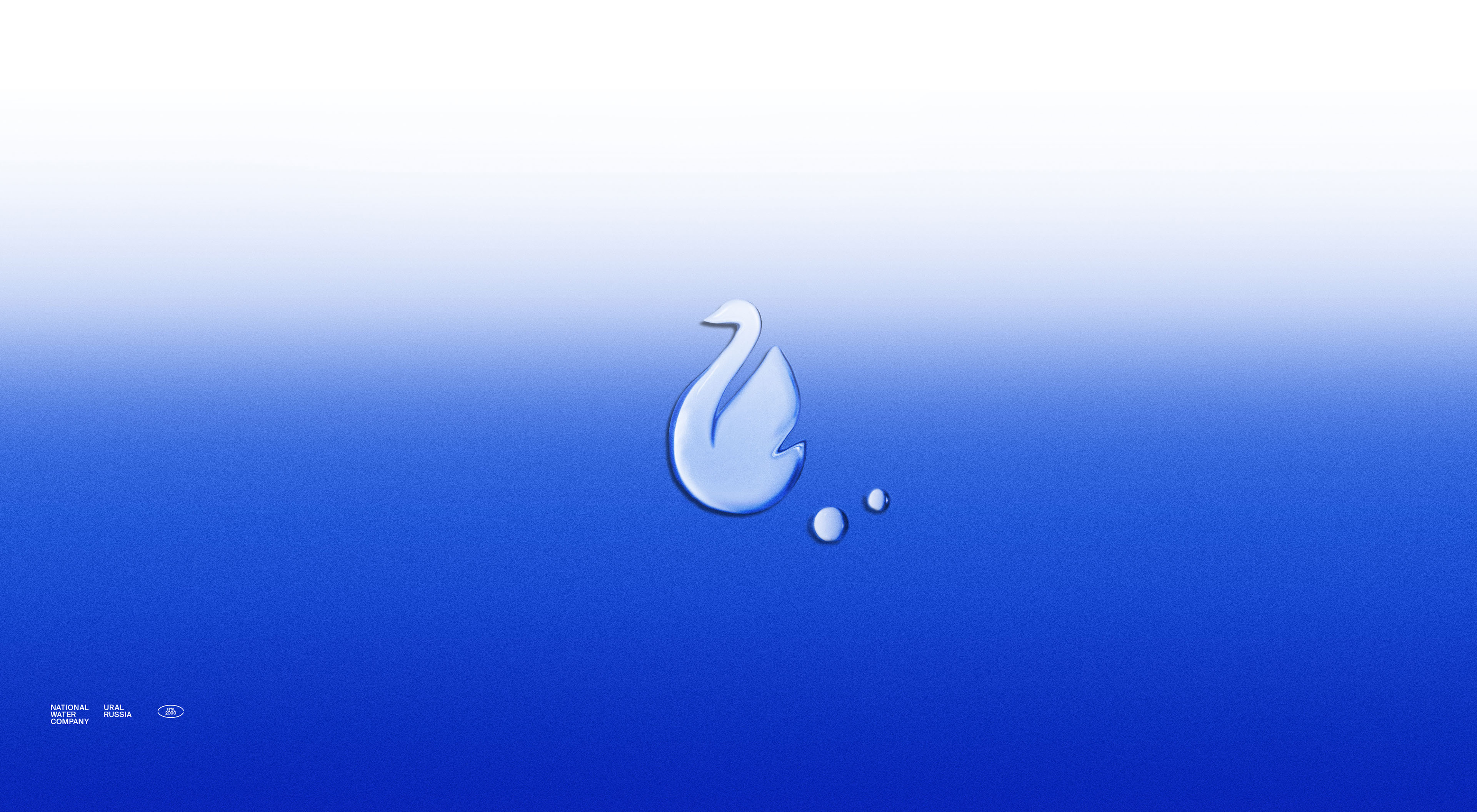 Niagara — Изображение №7 — Брендинг, Графика на Dprofile