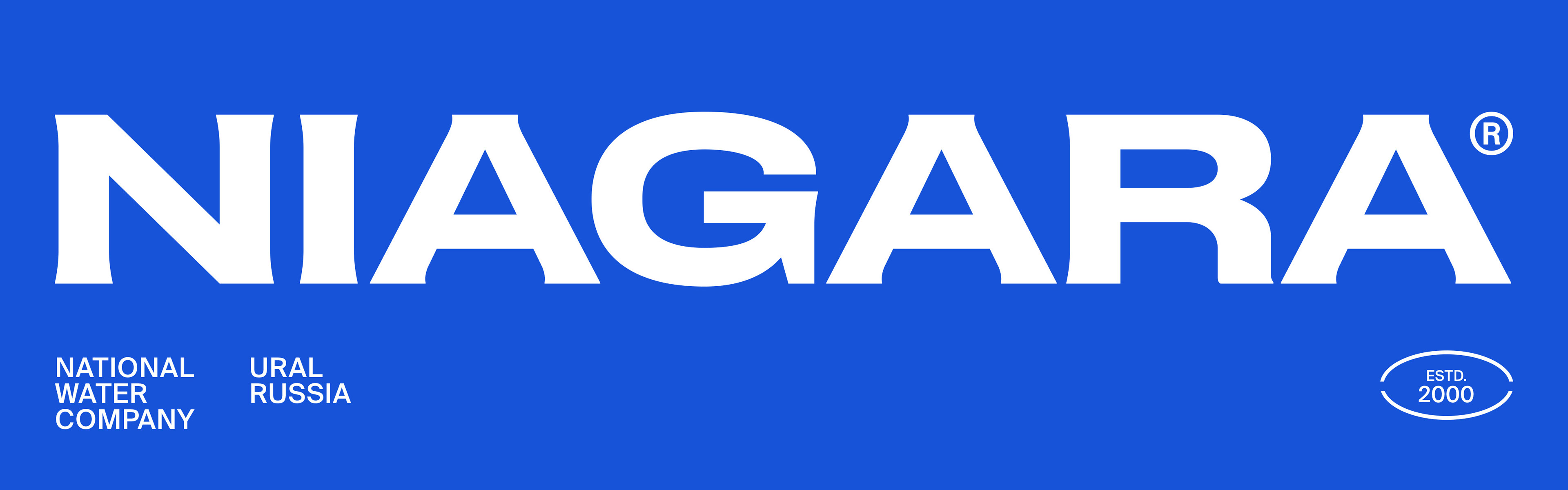 Niagara — Изображение №3 — Брендинг, Графика на Dprofile