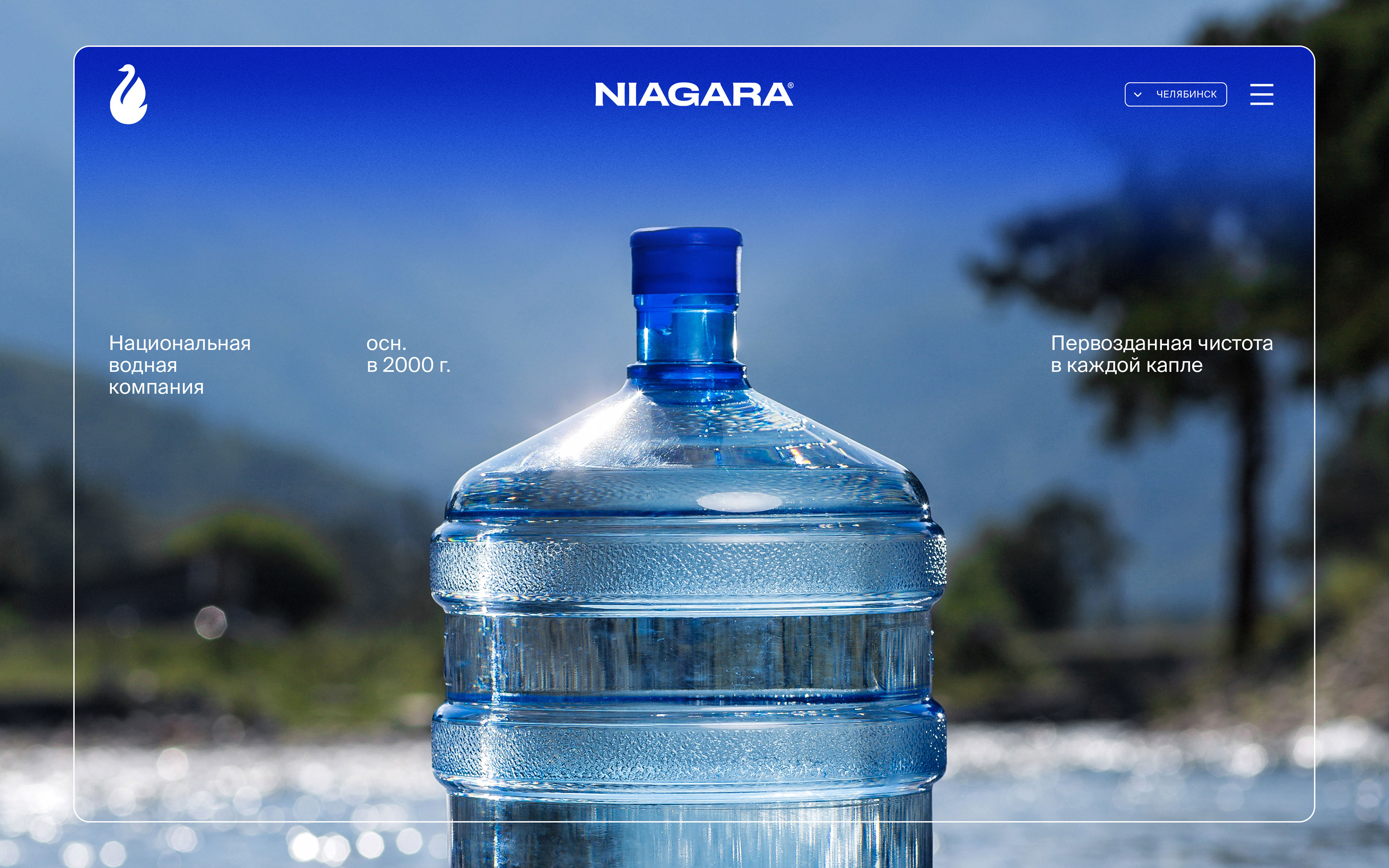 Niagara — Изображение №15 — Брендинг, Графика на Dprofile