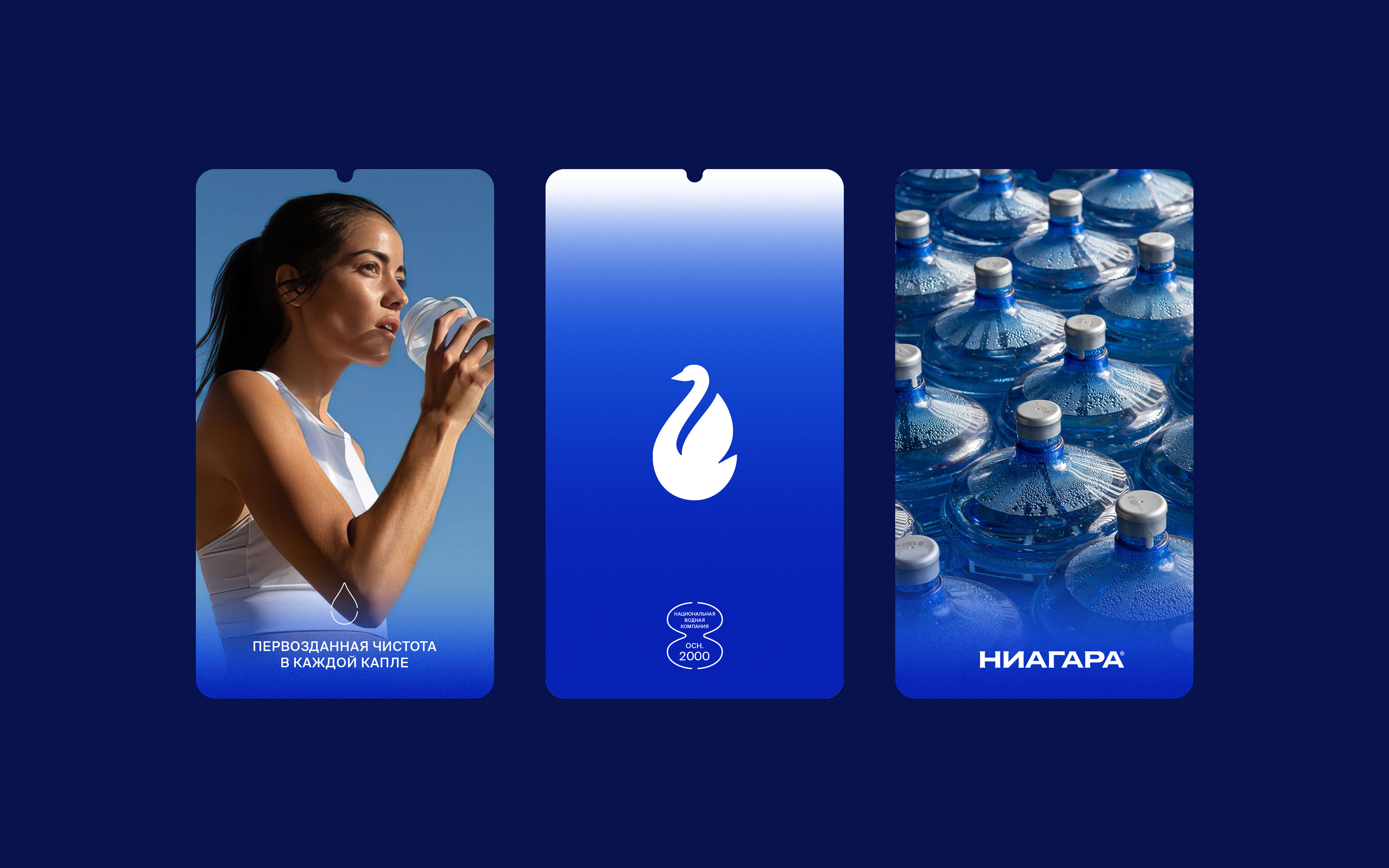 Niagara — Изображение №16 — Брендинг, Графика на Dprofile