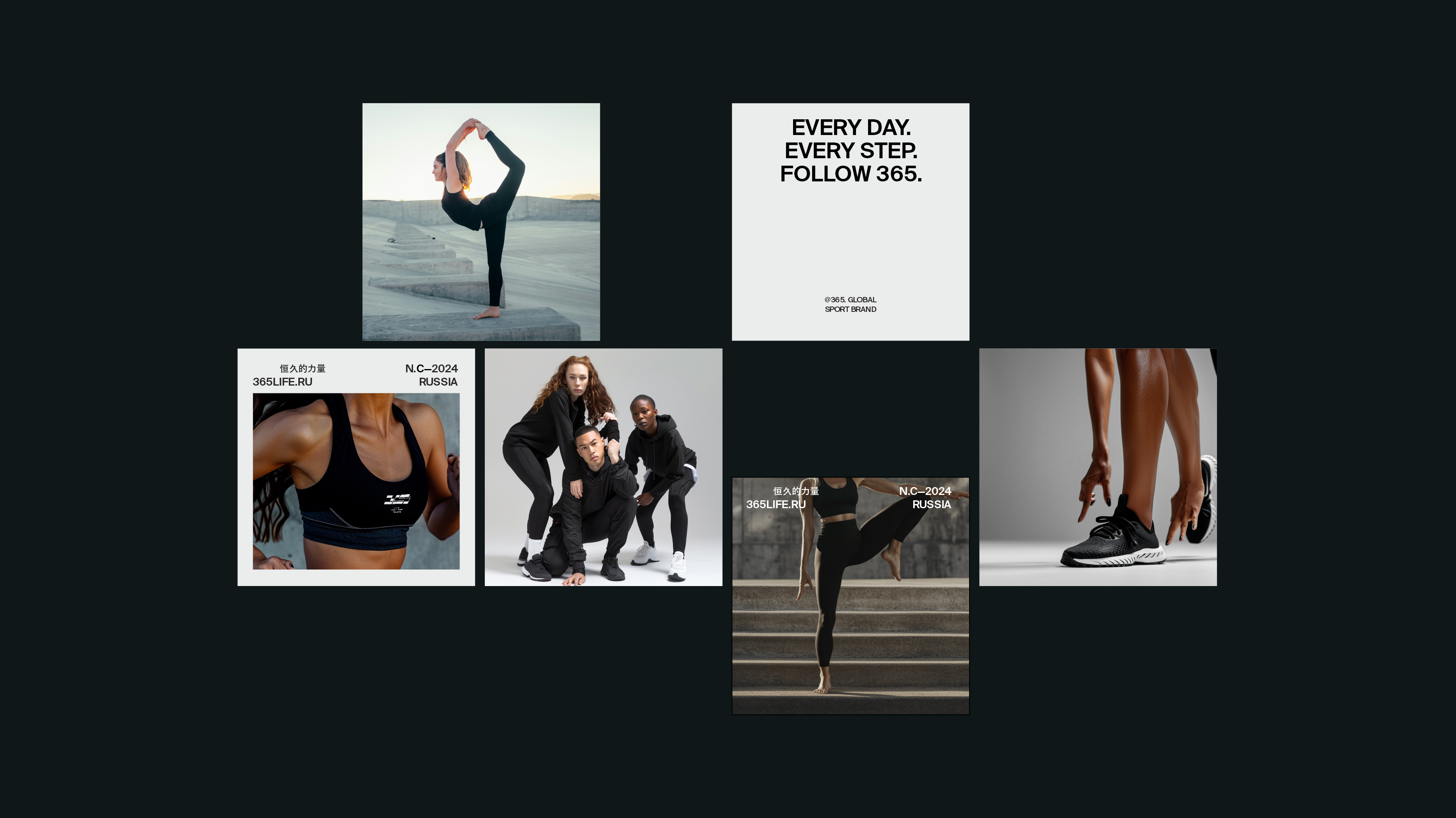 365.sport — Изображение №11 — Брендинг, Графика на Dprofile