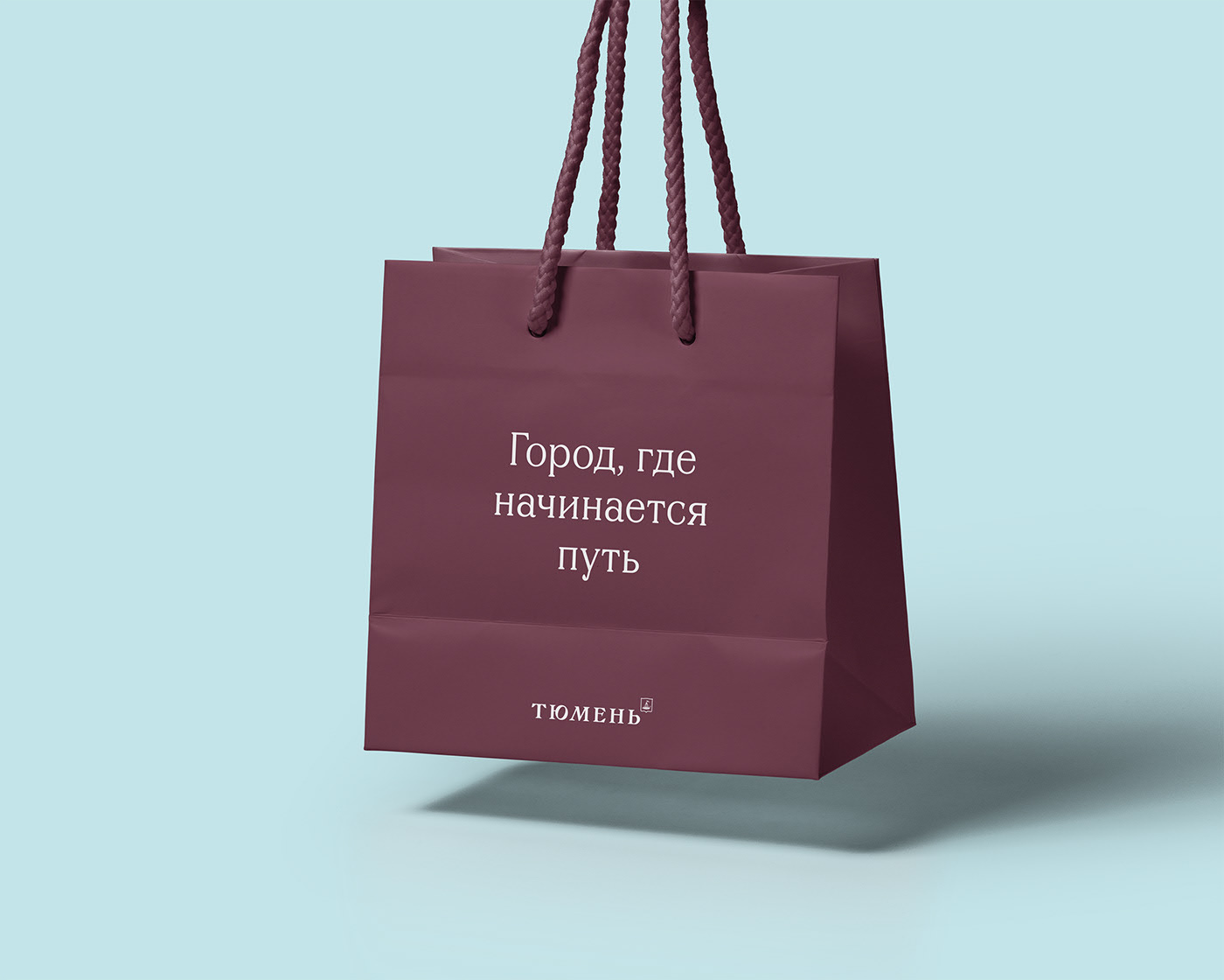 Tyumen City Brand — Изображение №12 — Брендинг, Графика на Dprofile