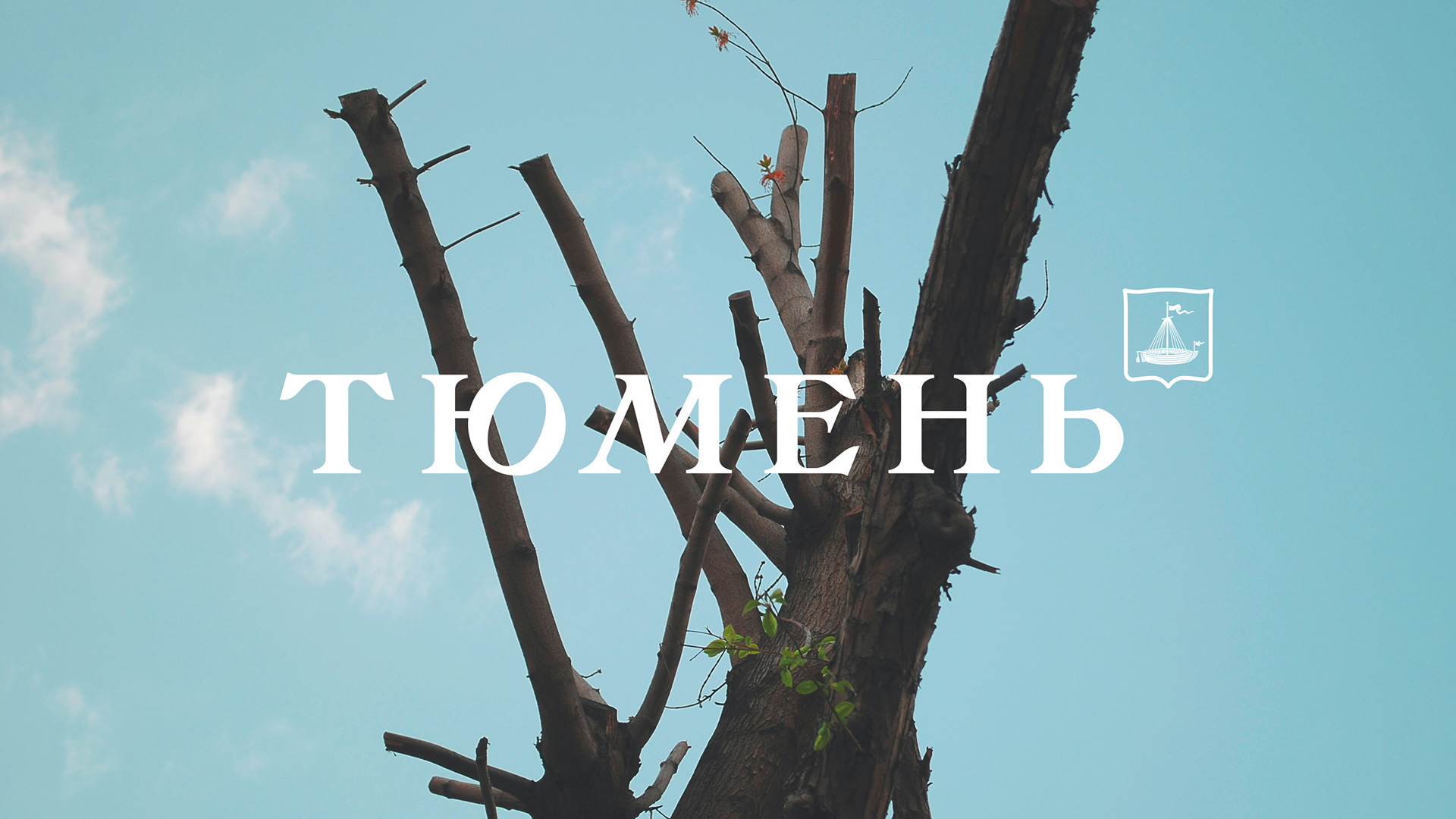Tyumen City Brand — Изображение №6 — Брендинг, Графика на Dprofile
