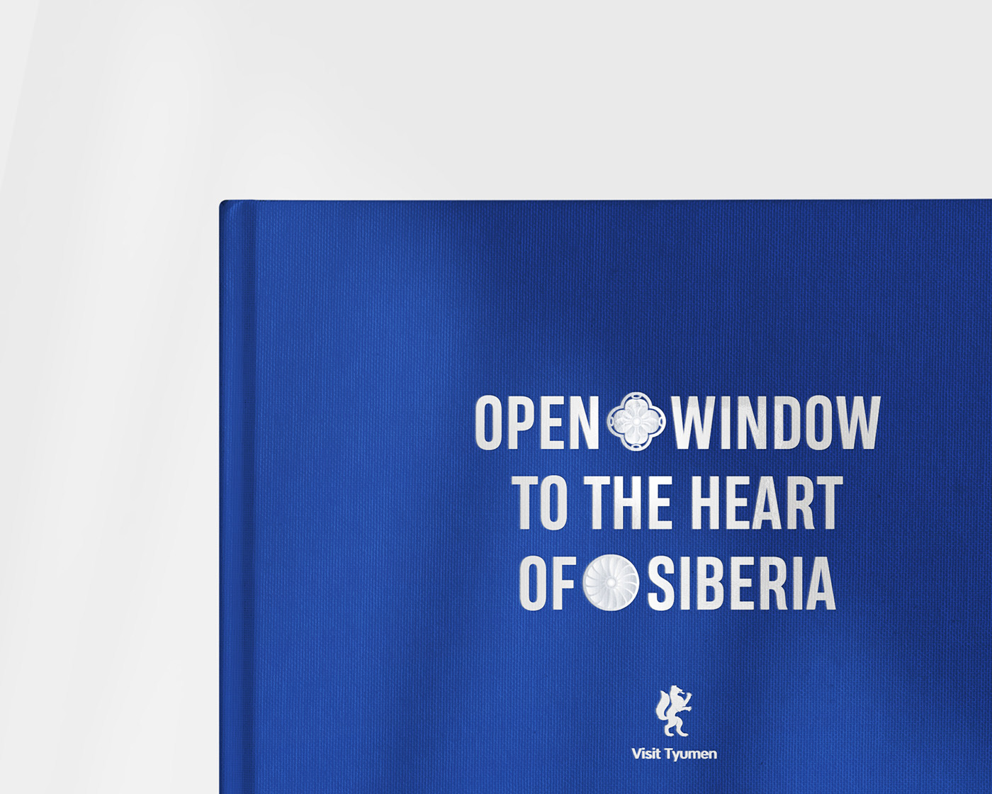 Visit Tyumen — Изображение №32 — Брендинг, Графика на Dprofile