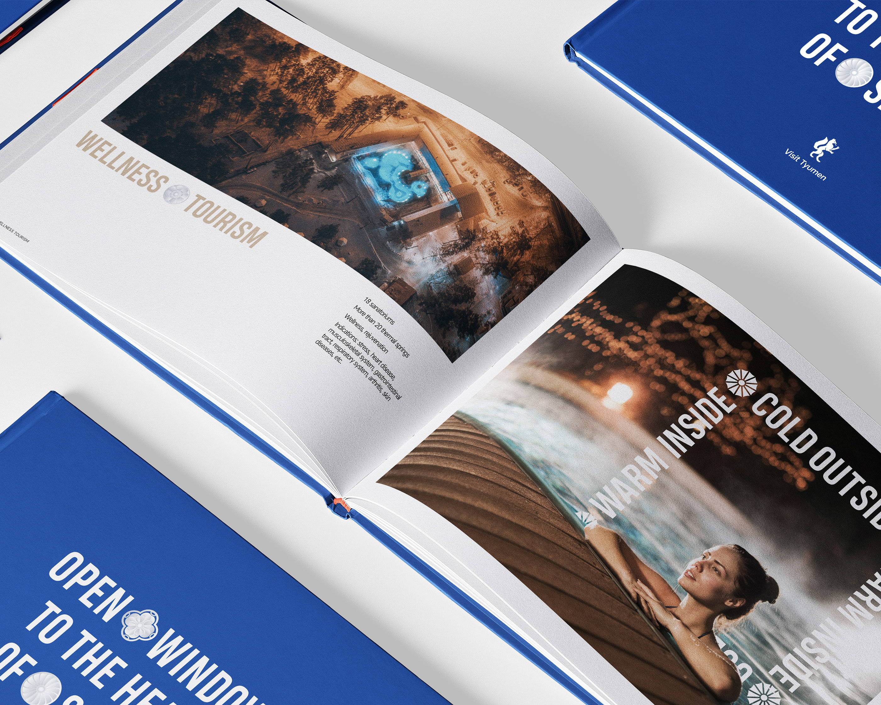 Visit Tyumen — Изображение №31 — Брендинг, Графика на Dprofile