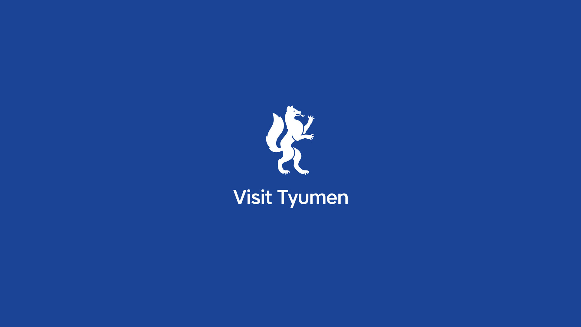 Visit Tyumen — Изображение №2 — Брендинг, Графика на Dprofile
