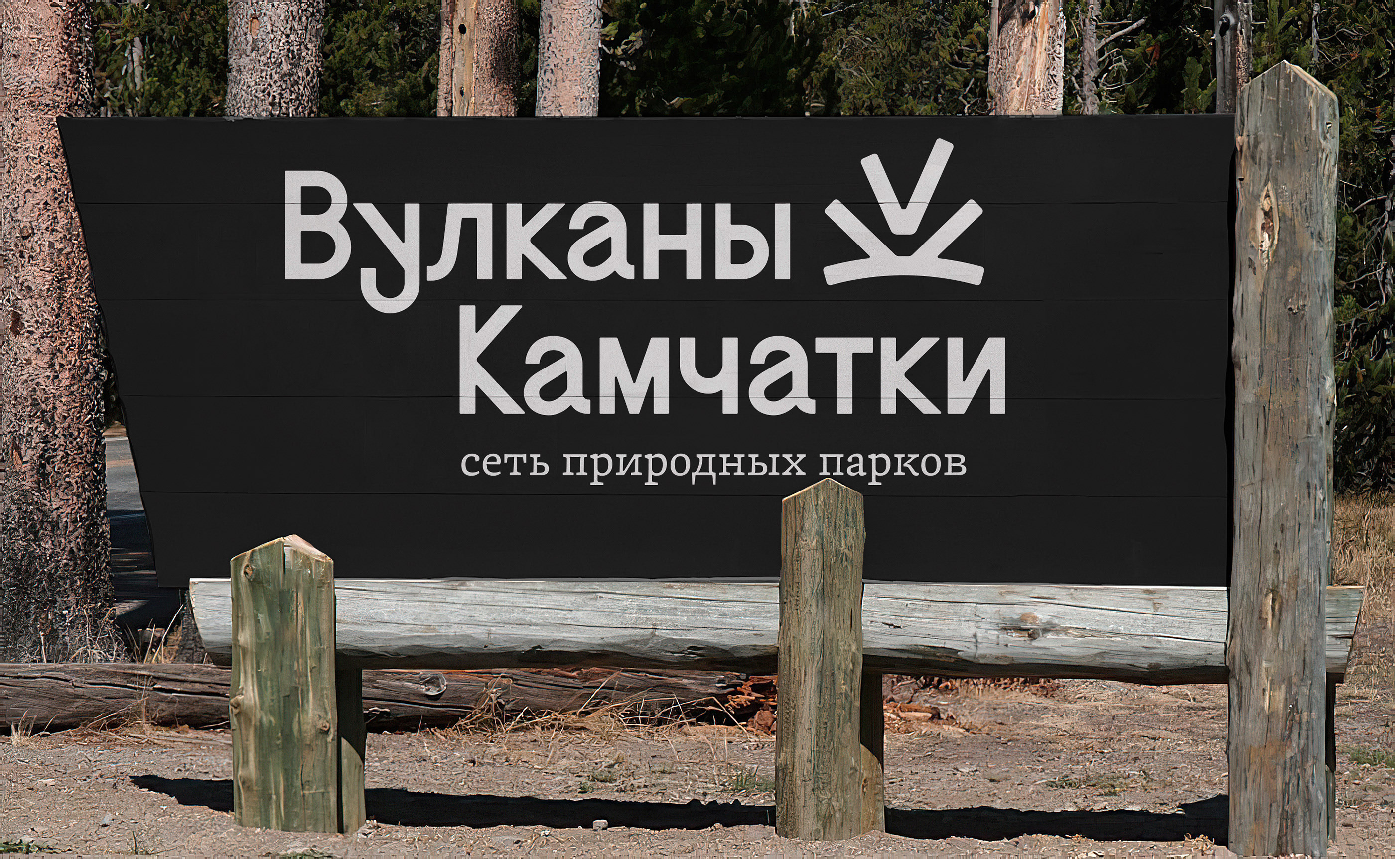 Вулканы Камчатки — Изображение №22 — Брендинг, Графика на Dprofile