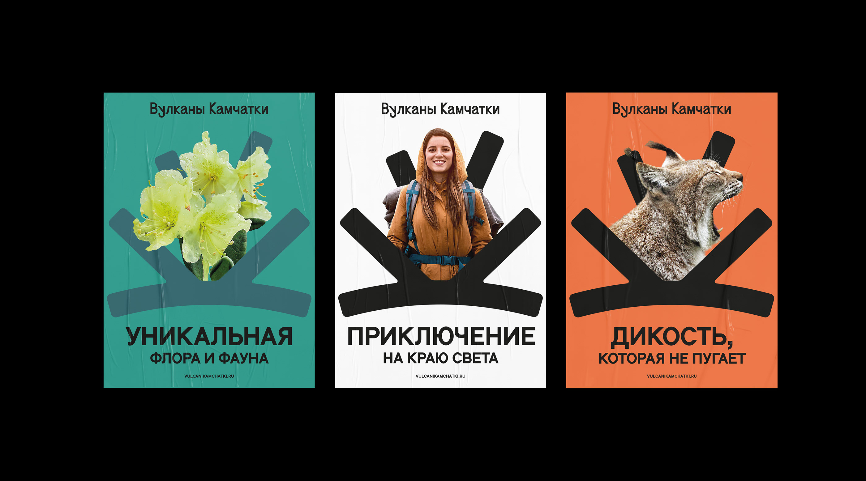 Вулканы Камчатки — Изображение №12 — Брендинг, Графика на Dprofile