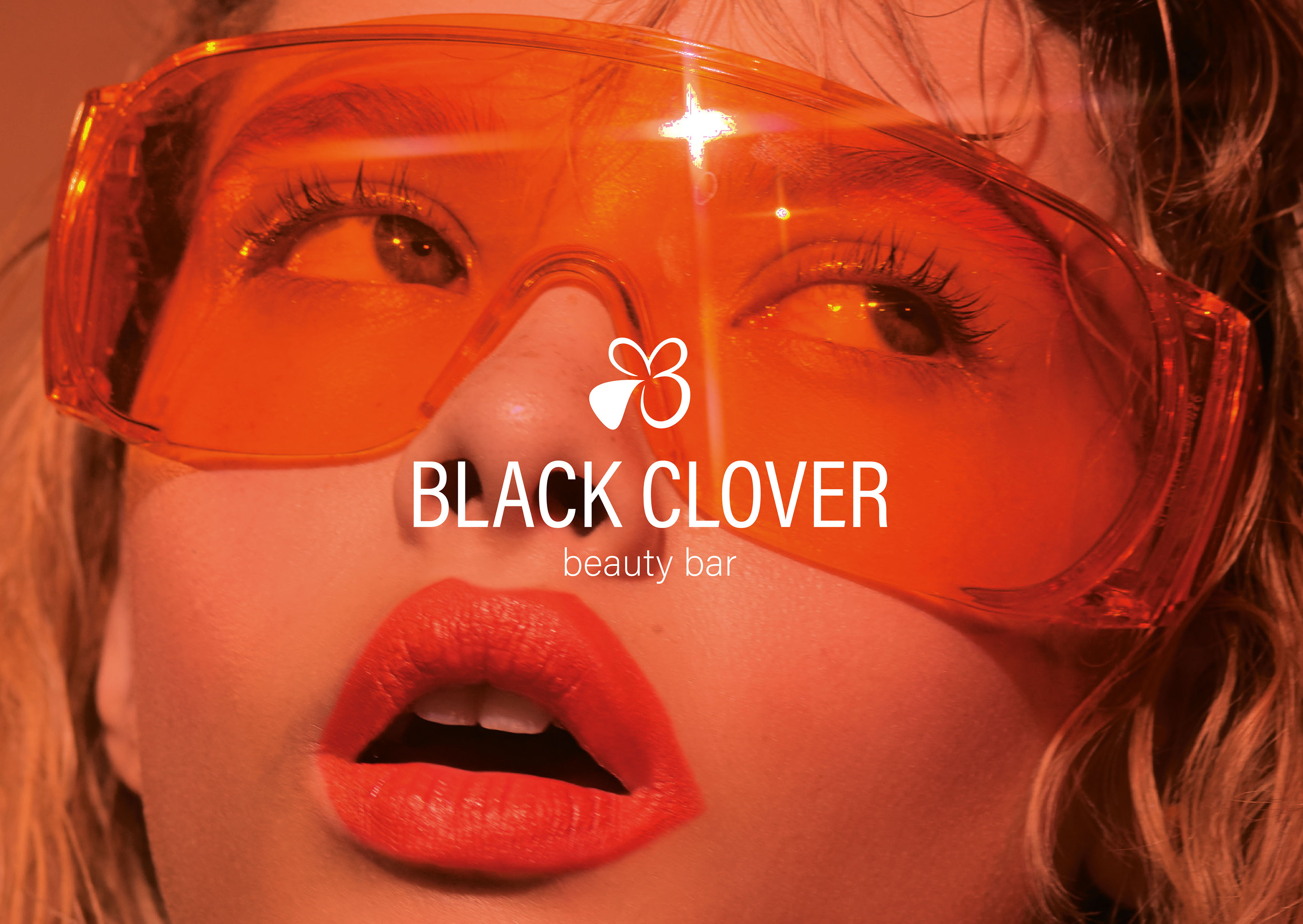Салон красоты "Black Clover" фирменный стиль / логотип — Изображение №1 — Брендинг на Dprofile