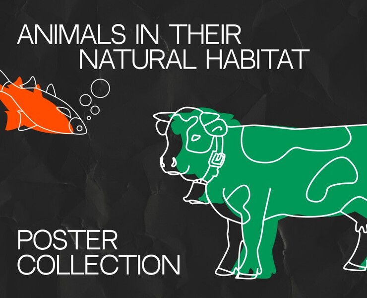 Animals Poster Collection || Prosto Utochka на Dprofile