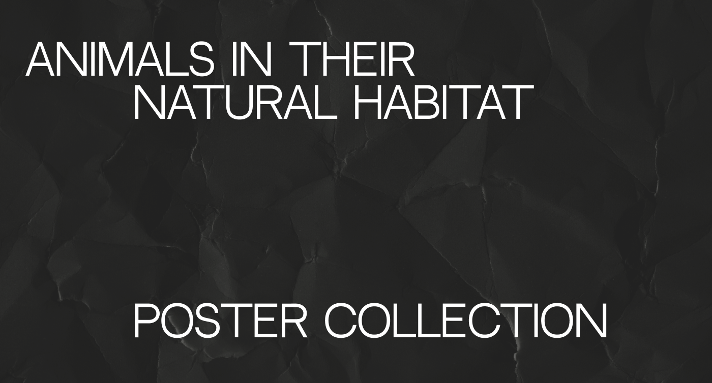 Animals Poster Collection || Prosto Utochka — Изображение №1 — Брендинг, Графика на Dprofile