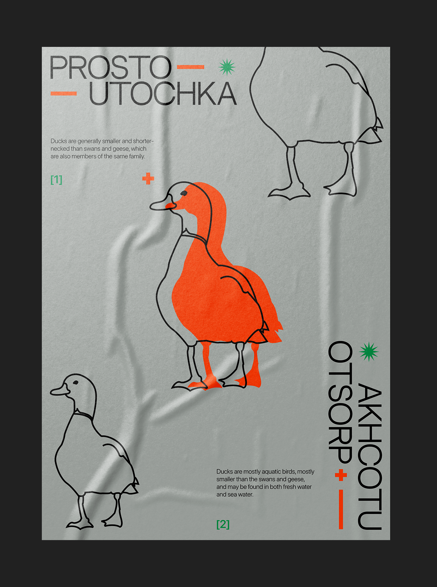 Animals Poster Collection || Prosto Utochka — Изображение №3 — Брендинг, Графика на Dprofile