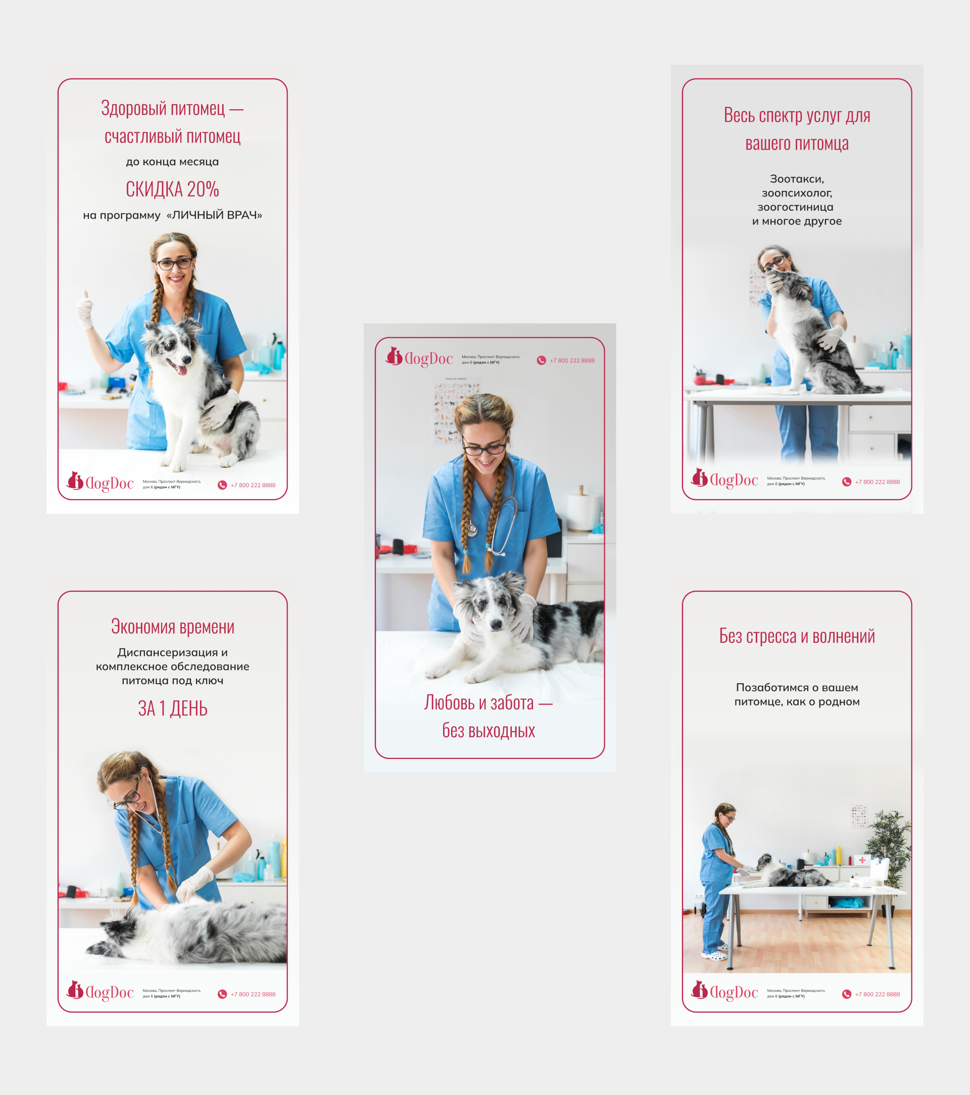 DogDoc Концепт сайта ветеринарной клиники — Изображение №9 — Интерфейсы, Анимация на Dprofile