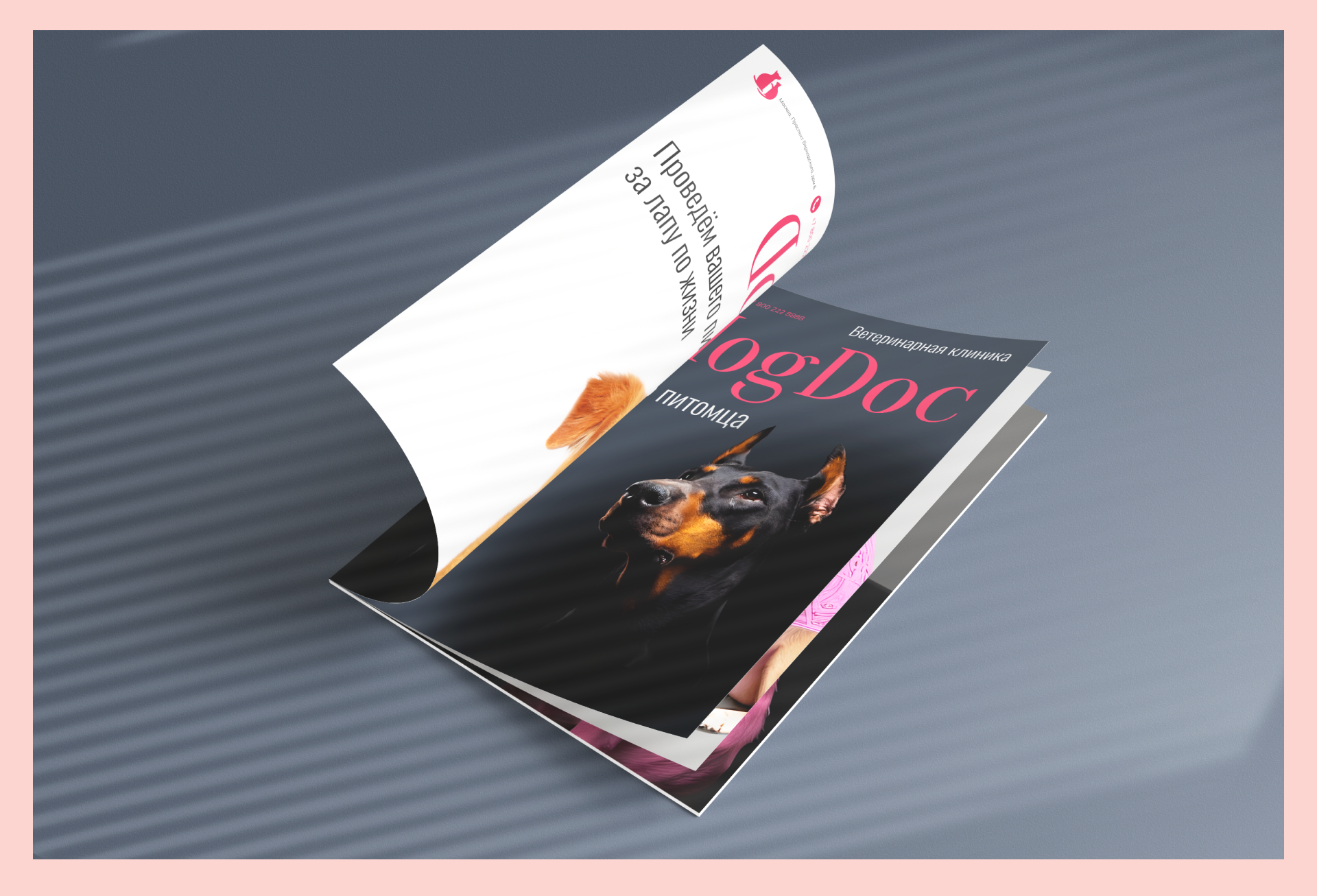 DogDoc Концепт сайта ветеринарной клиники — Изображение №1 — Интерфейсы, Анимация на Dprofile