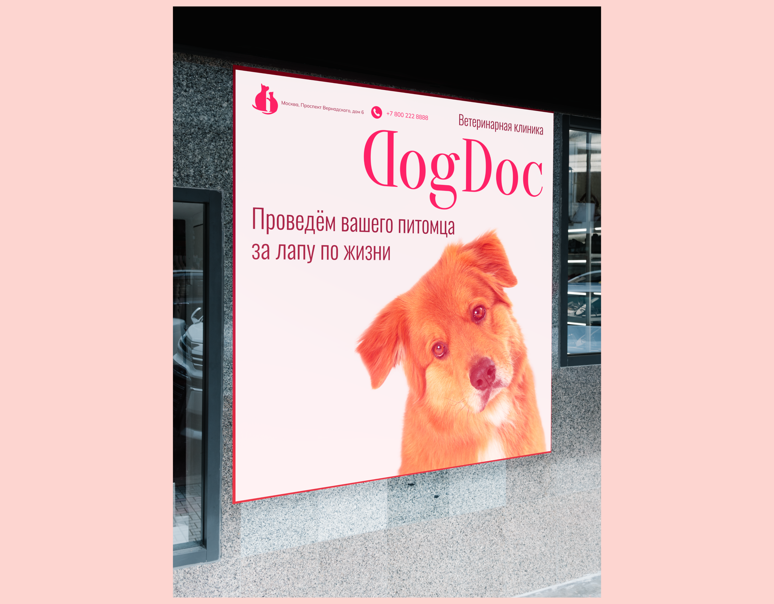 DogDoc Концепт сайта ветеринарной клиники — Изображение №10 — Интерфейсы, Анимация на Dprofile