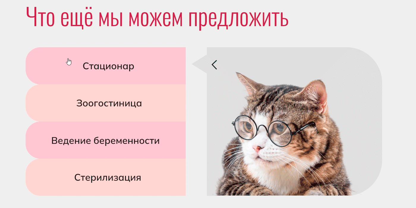 DogDoc Концепт сайта ветеринарной клиники — Изображение №7 — Интерфейсы, Анимация на Dprofile