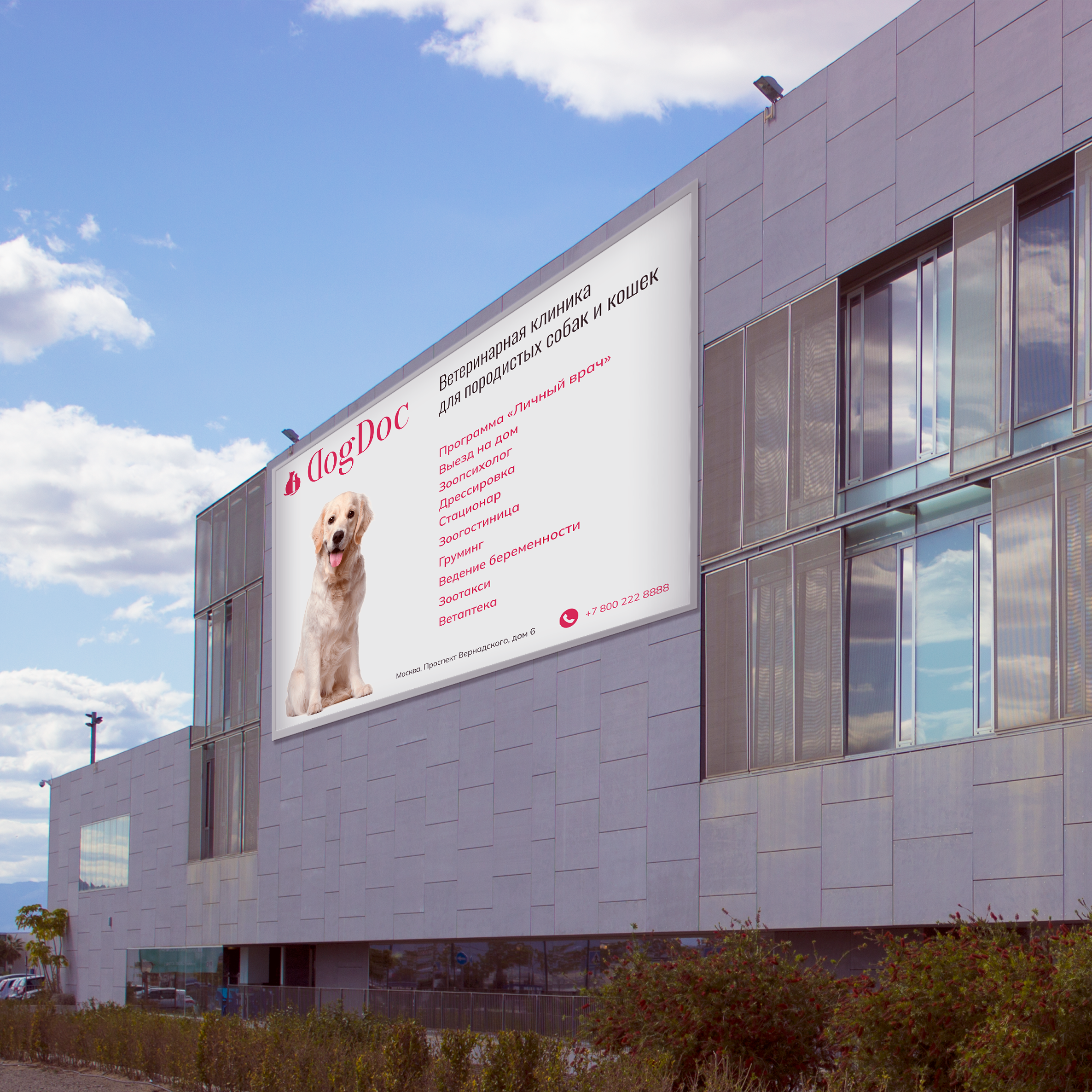 DogDoc Концепт сайта ветеринарной клиники — Изображение №6 — Интерфейсы, Анимация на Dprofile