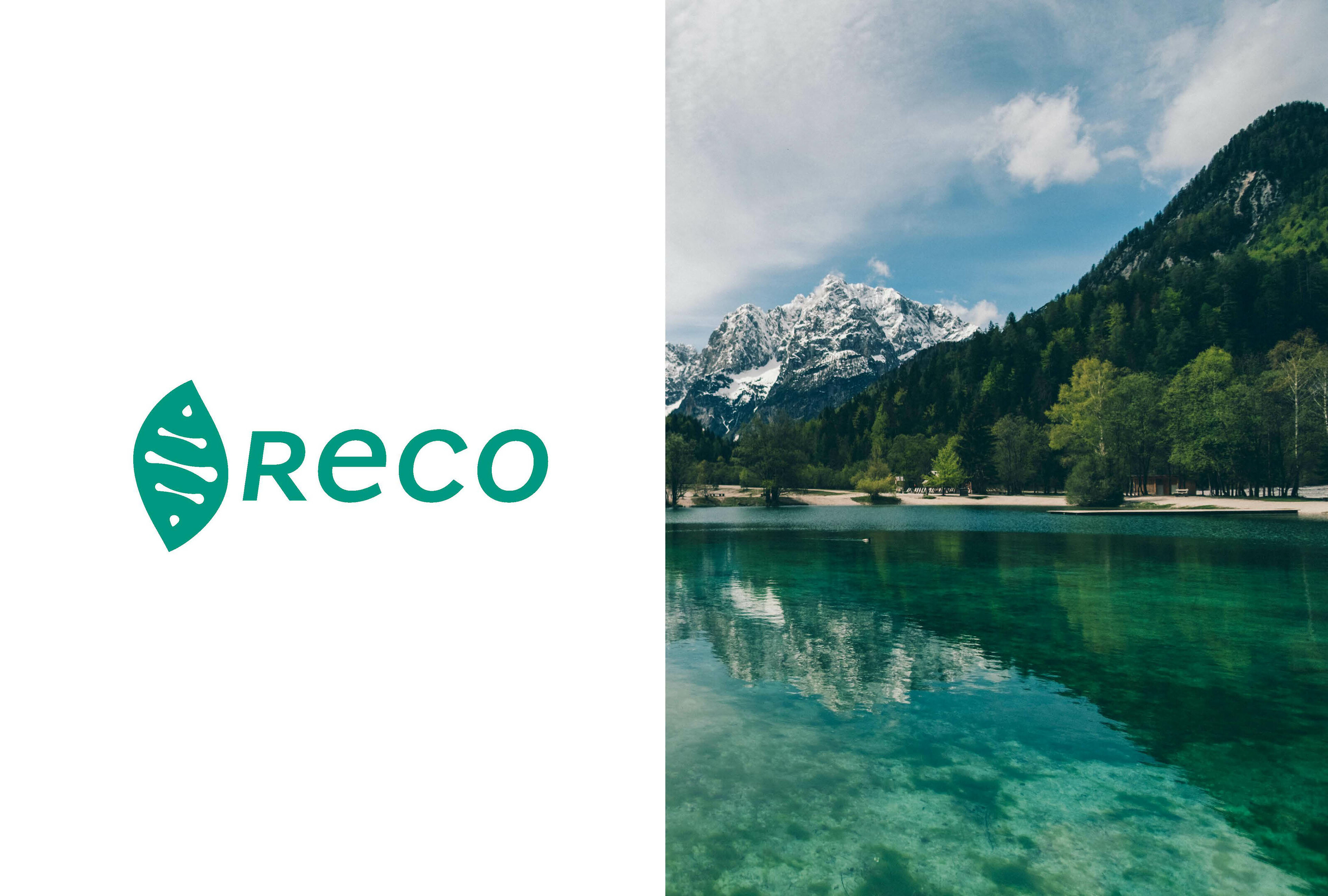 RECO. LOGO DESIGN — Изображение №3 — Брендинг, Графика на Dprofile