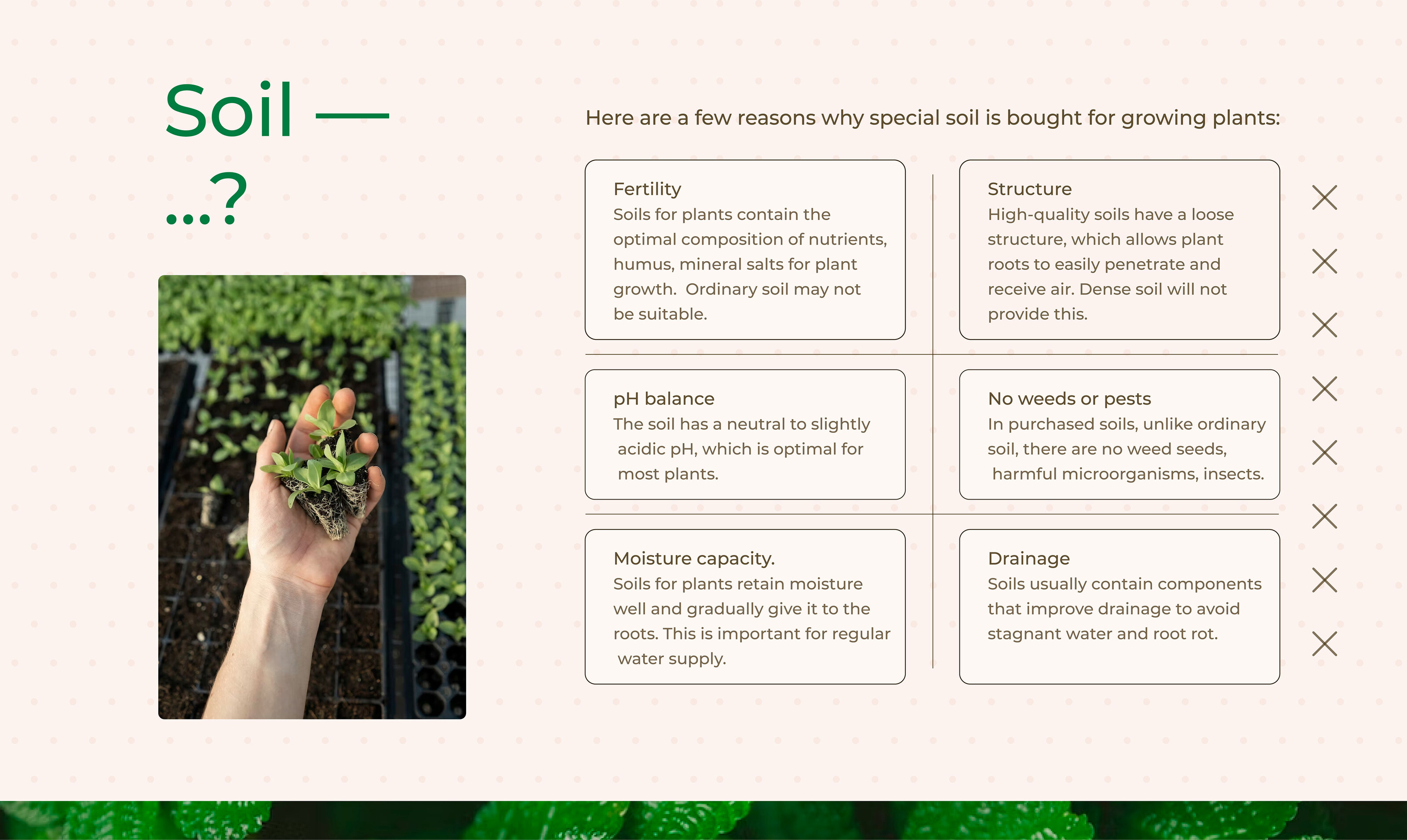 Landing page "The Soil" — Изображение №3 — Интерфейсы на Dprofile