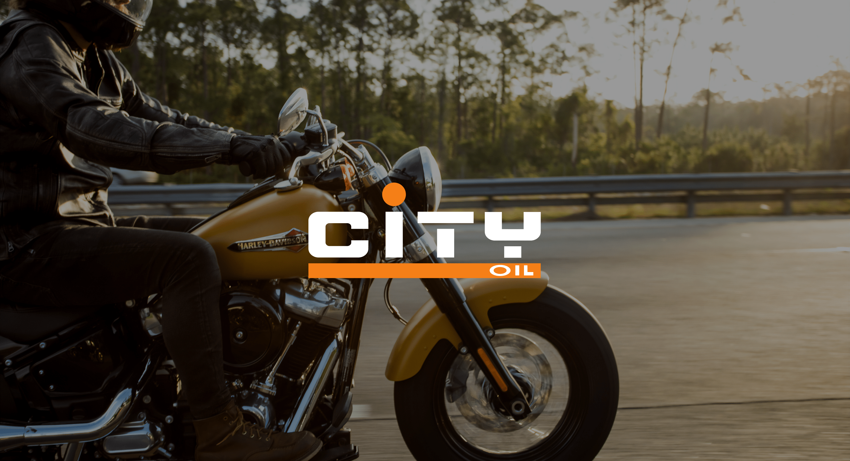 City Oil | brand identity — Изображение №1 — Брендинг, Графика на Dprofile