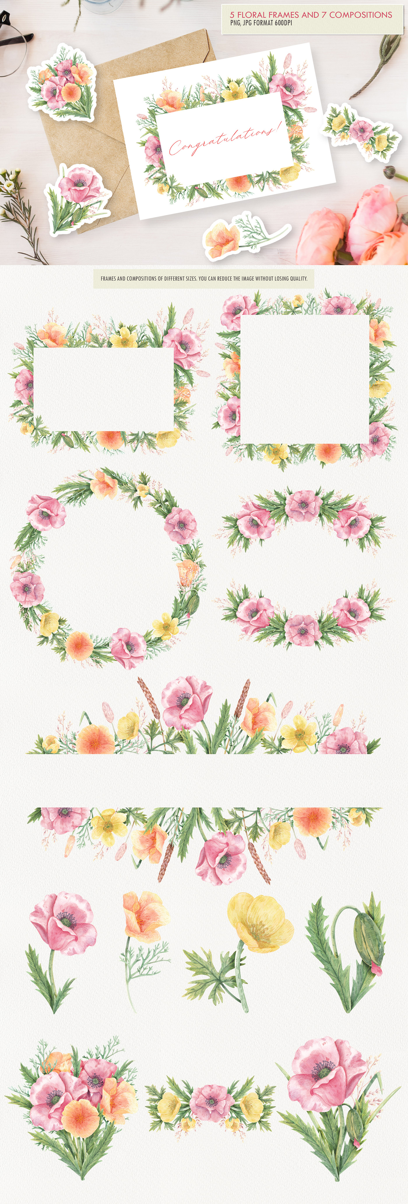 Wildflower Watercolor — Изображение №3 — Иллюстрация на Dprofile