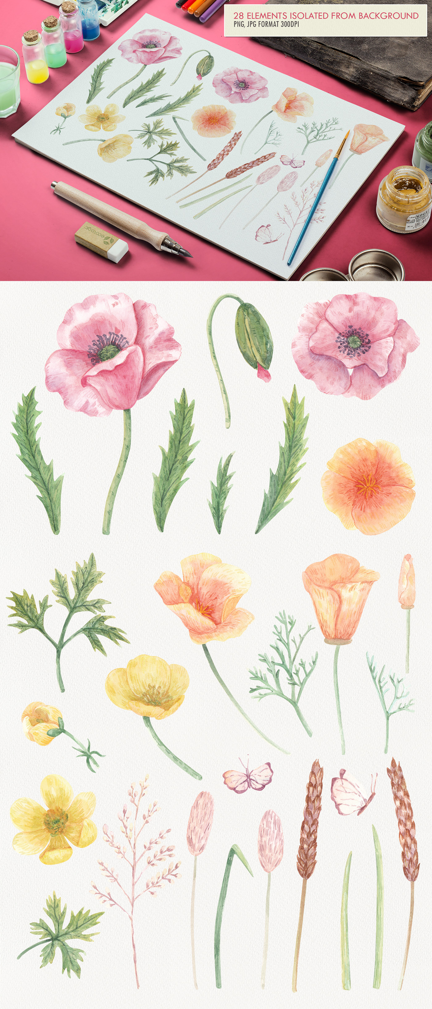 Wildflower Watercolor — Изображение №2 — Иллюстрация на Dprofile