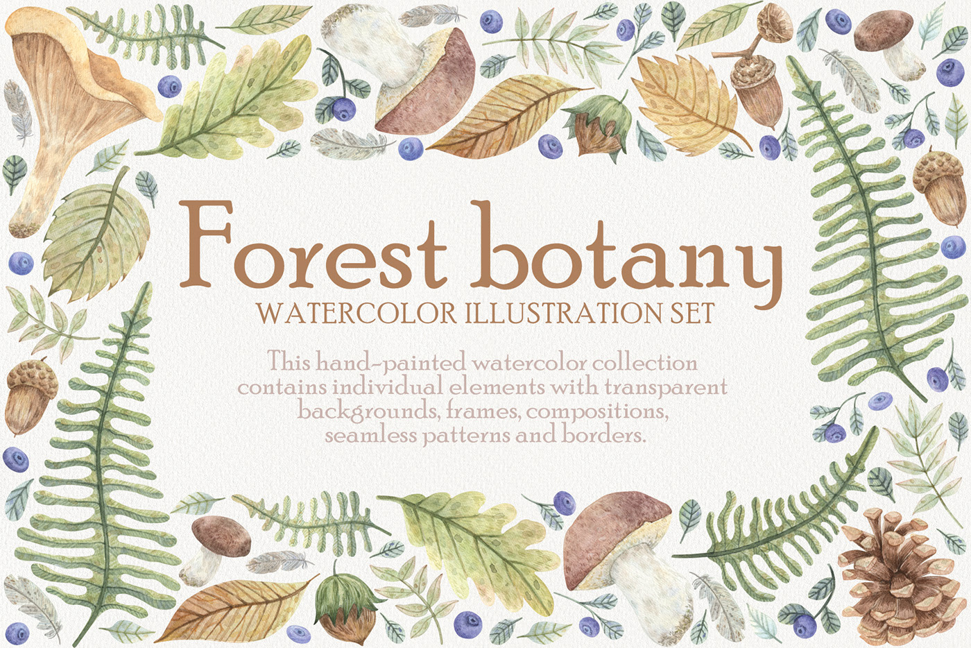 Forest Botany Watercolor Set — Изображение №1 — Иллюстрация, Графика на Dprofile