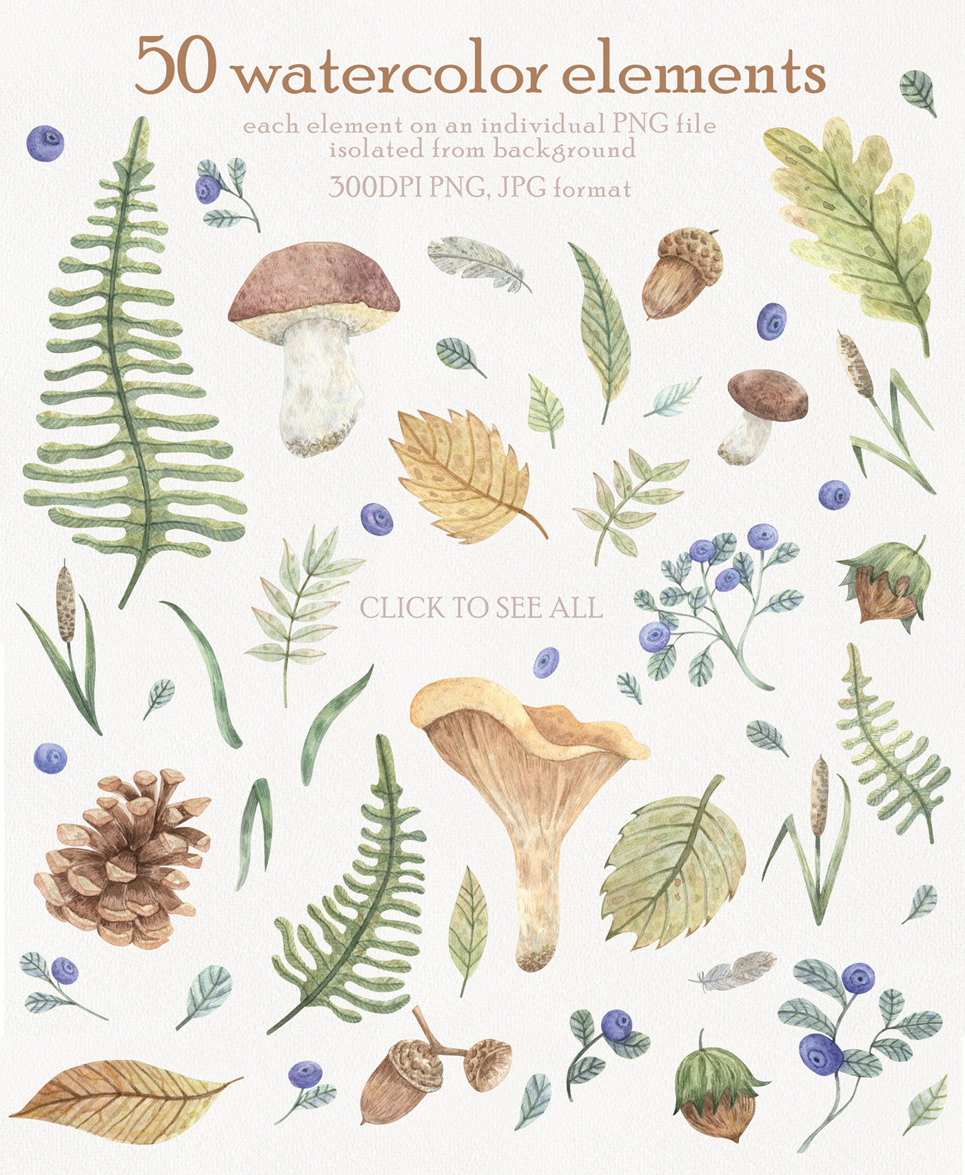 Forest Botany Watercolor Set — Изображение №2 — Иллюстрация, Графика на Dprofile