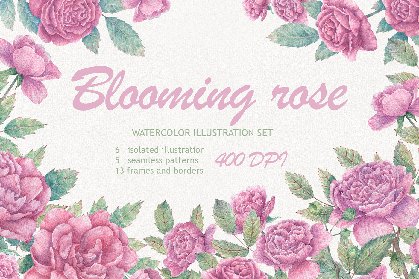 Blooming Rose — Изображение №1 — Иллюстрация, Графика на Dprofile