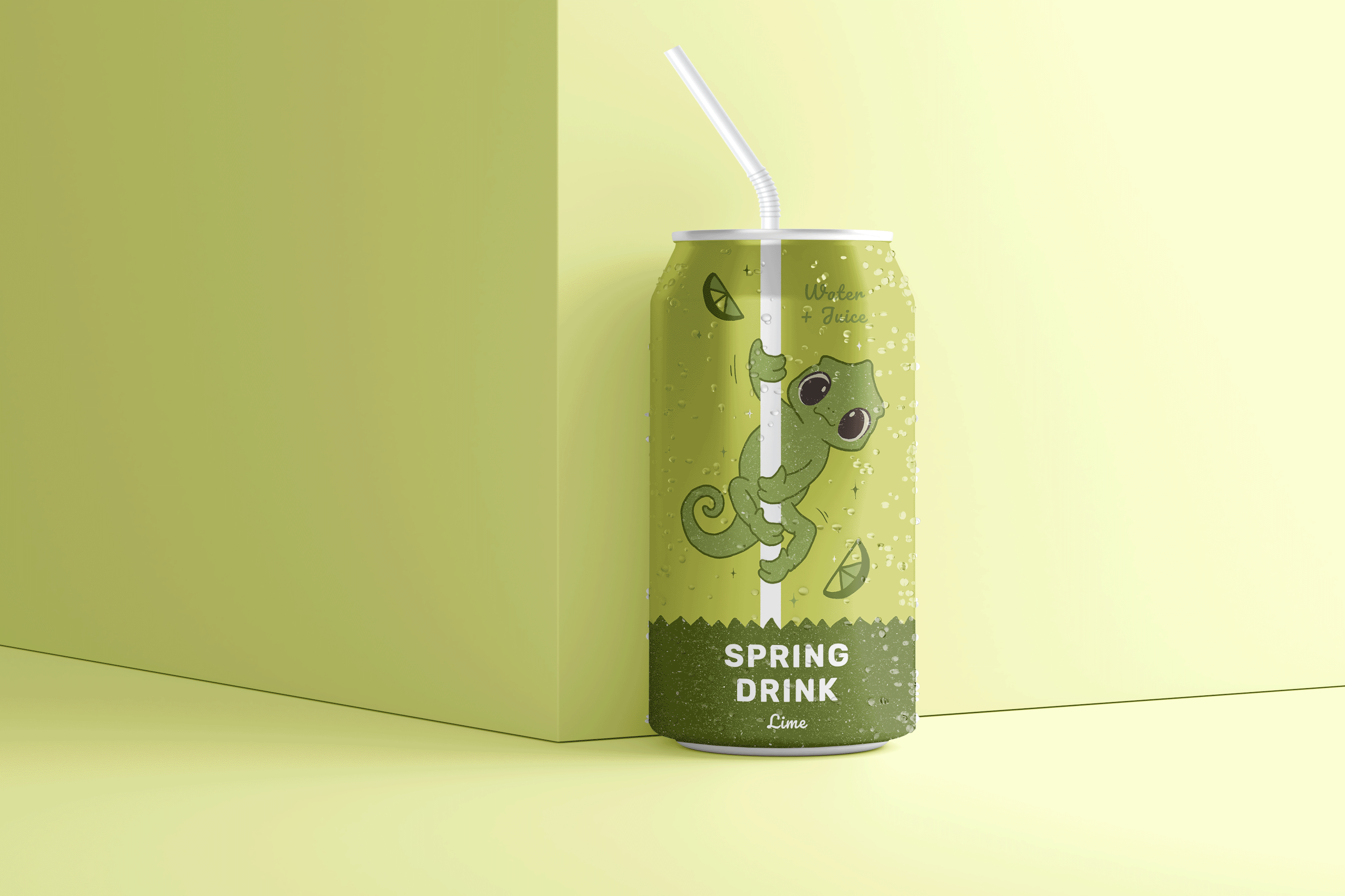 Spring Drink • Packaging design — Изображение №2 — Брендинг, Иллюстрация на Dprofile
