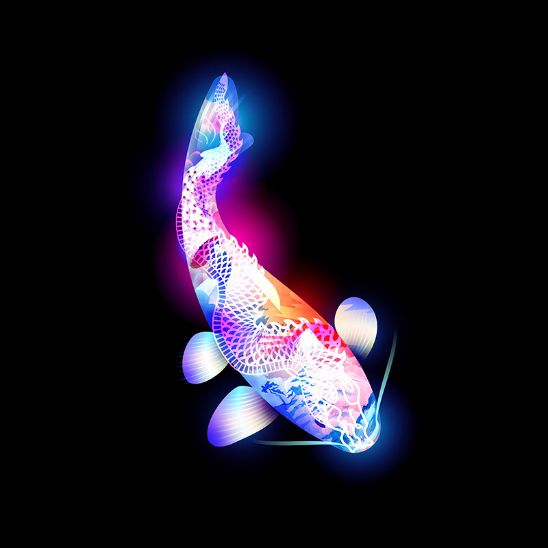 KOI — Изображение №18 — Иллюстрация, Анимация на Dprofile