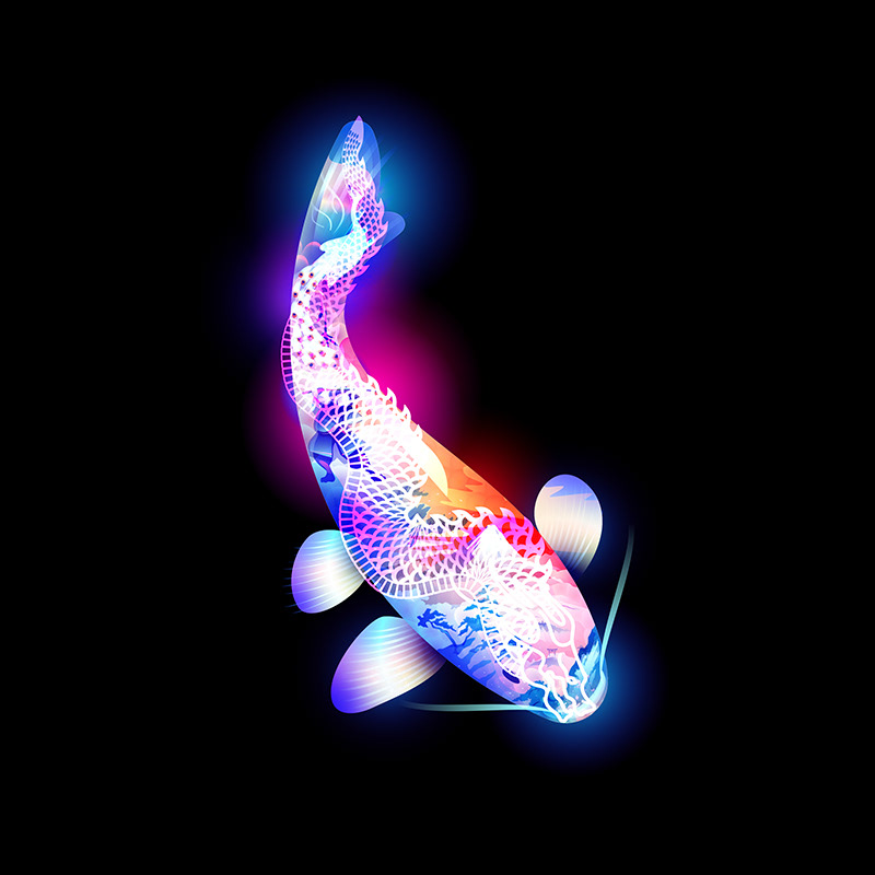 KOI — Изображение №21 — Иллюстрация, Анимация на Dprofile