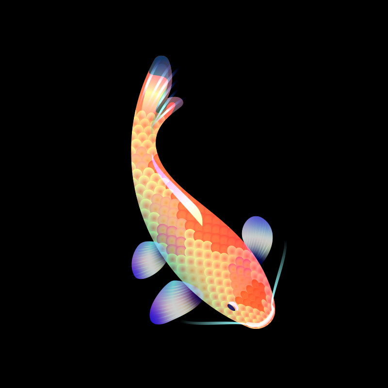 KOI — Изображение №13 — Иллюстрация, Анимация на Dprofile
