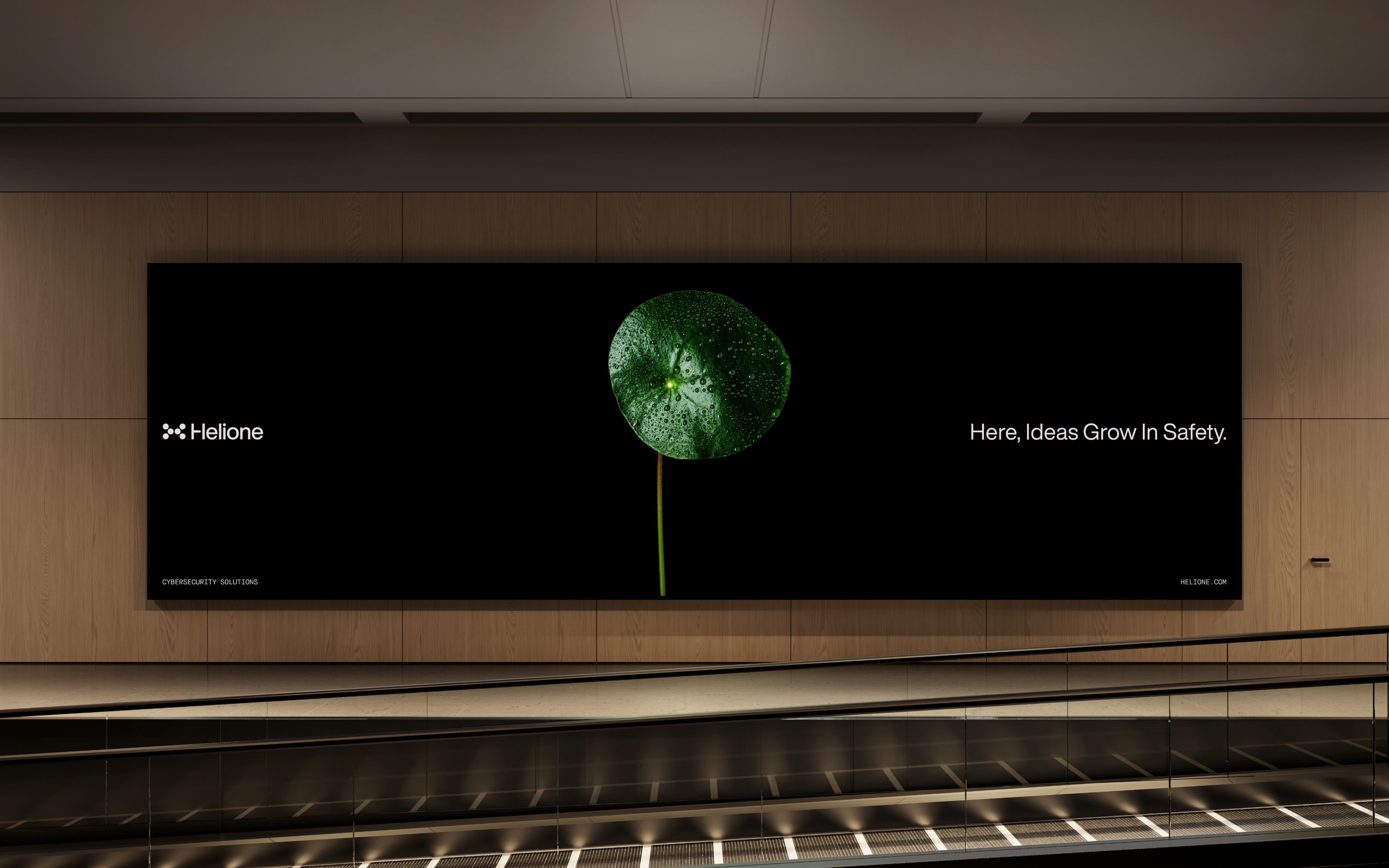 Helione — Изображение №24 — Брендинг на Dprofile