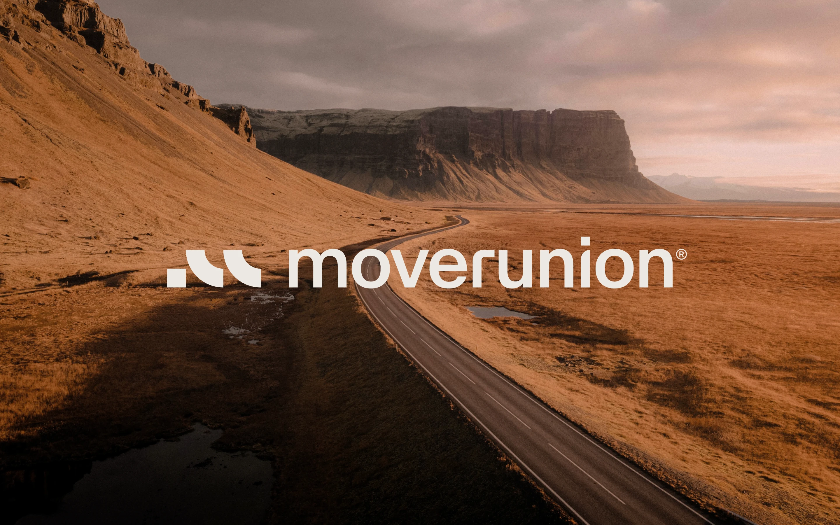 Moverunion — Изображение №2 — Брендинг на Dprofile