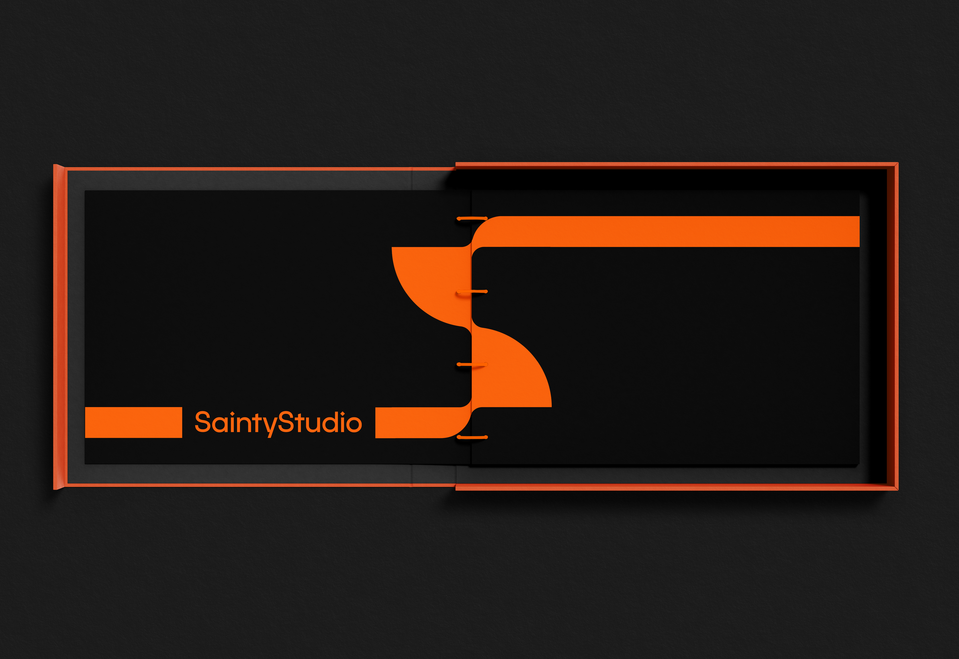 SaintyStudio — Изображение №4 — Брендинг на Dprofile