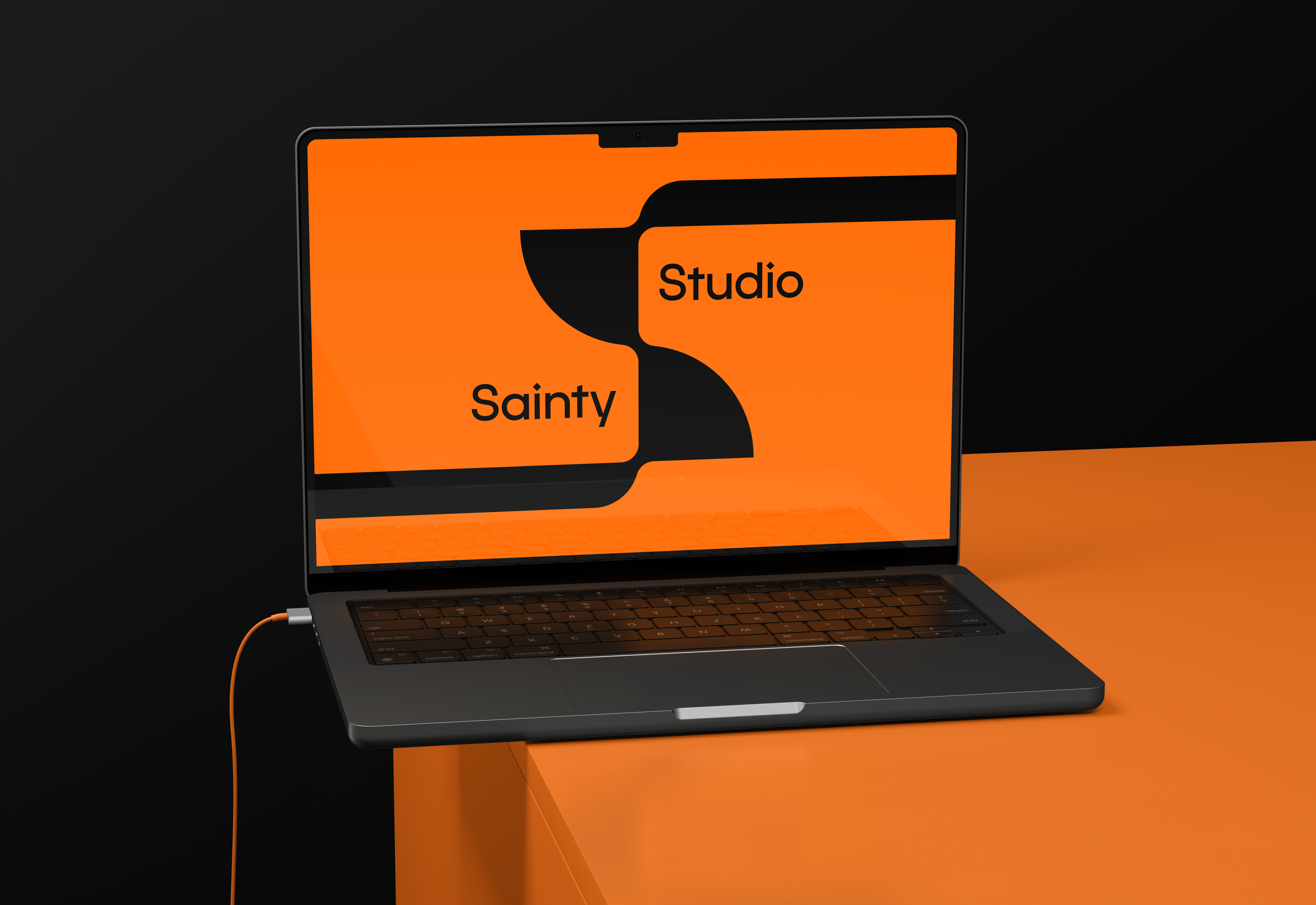 SaintyStudio — Изображение №6 — Брендинг на Dprofile