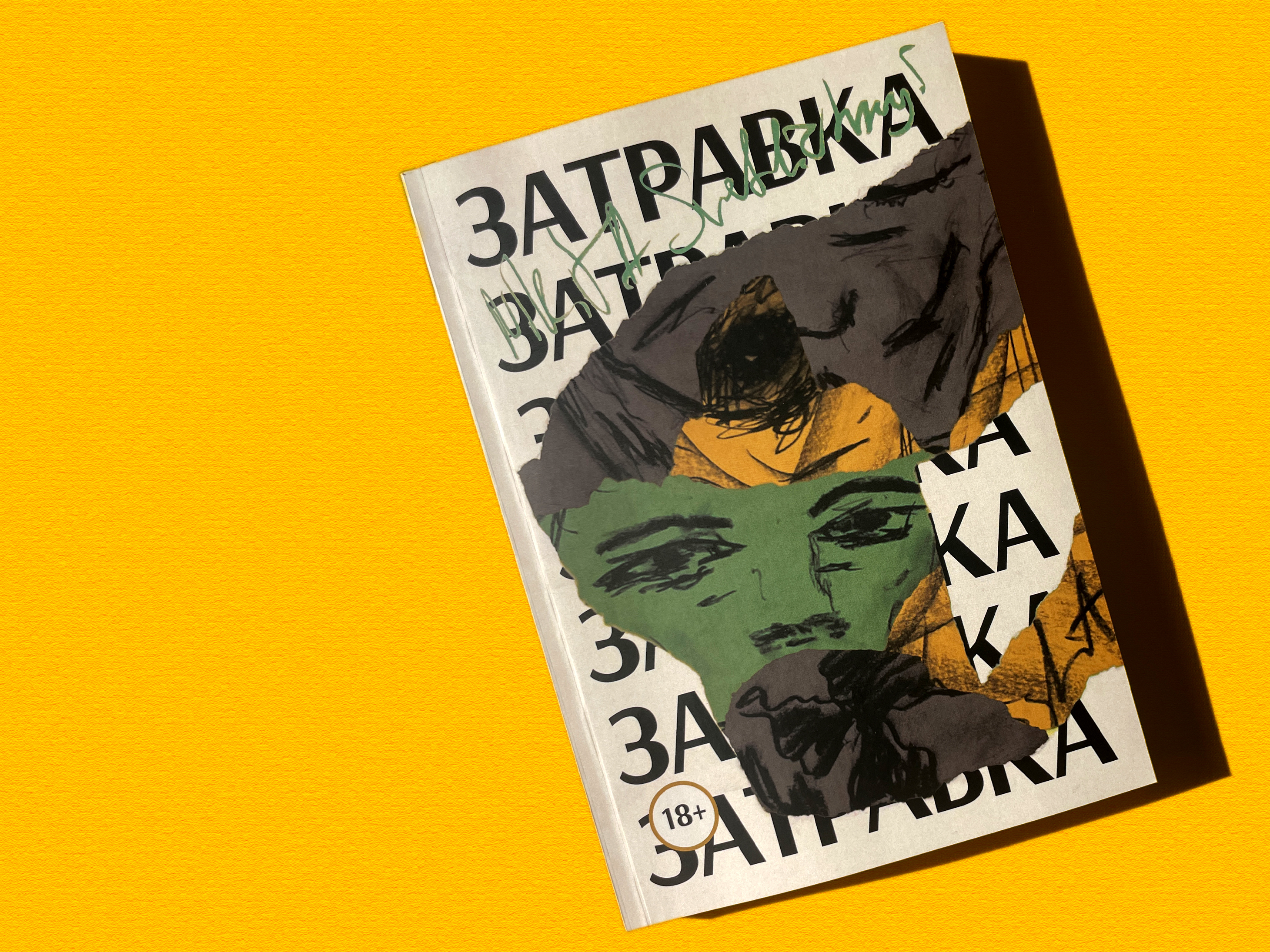Книжная обложка: Затравка — Изображение №1 — Графика на Dprofile