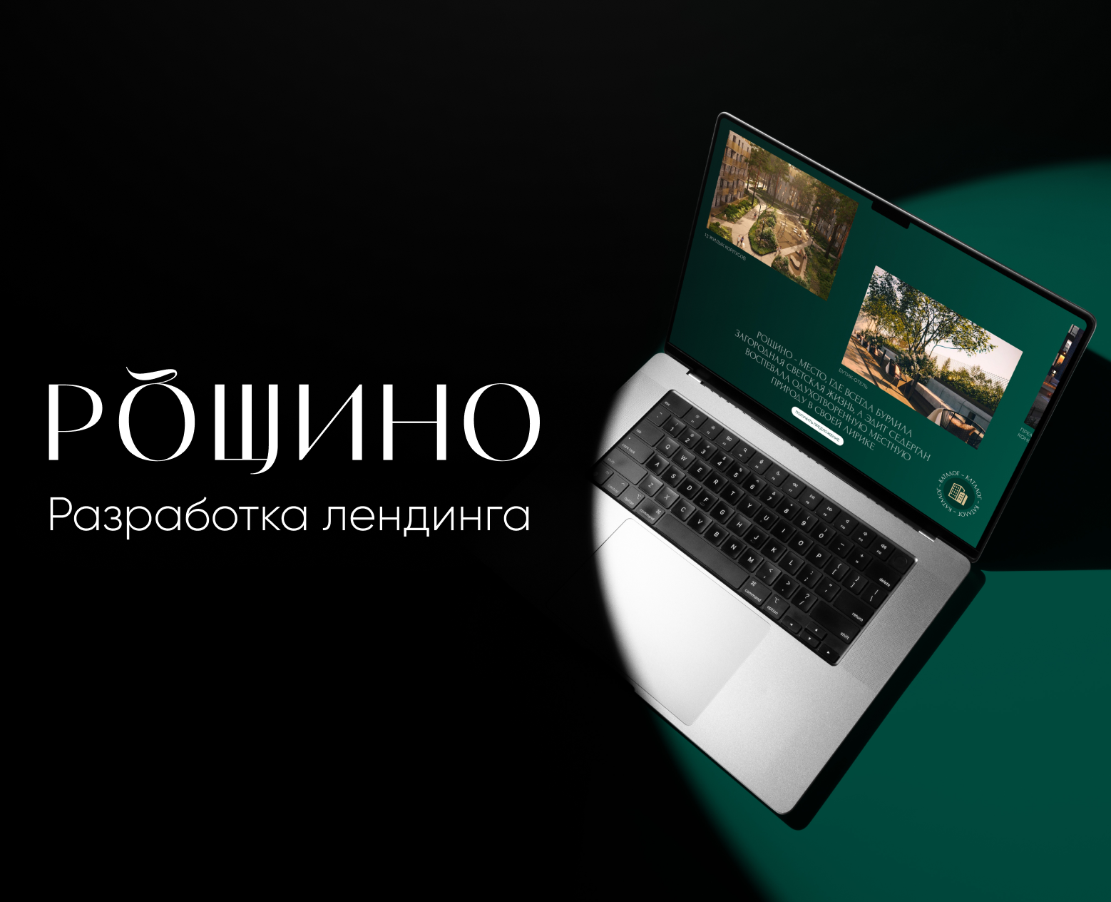 Разработка посадочной страницы на Dprofile