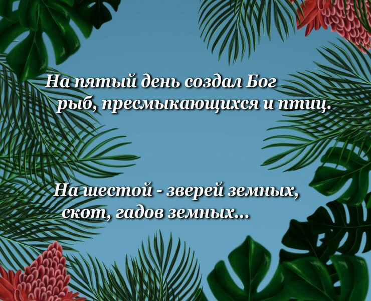 живая природа — Иллюстрация на Dprofile