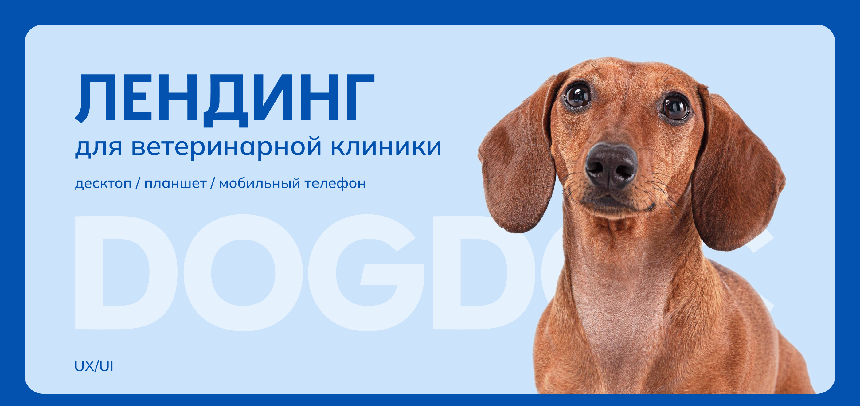 Лендинг для ветеринарной клиники — Изображение №1 — Интерфейсы на Dprofile