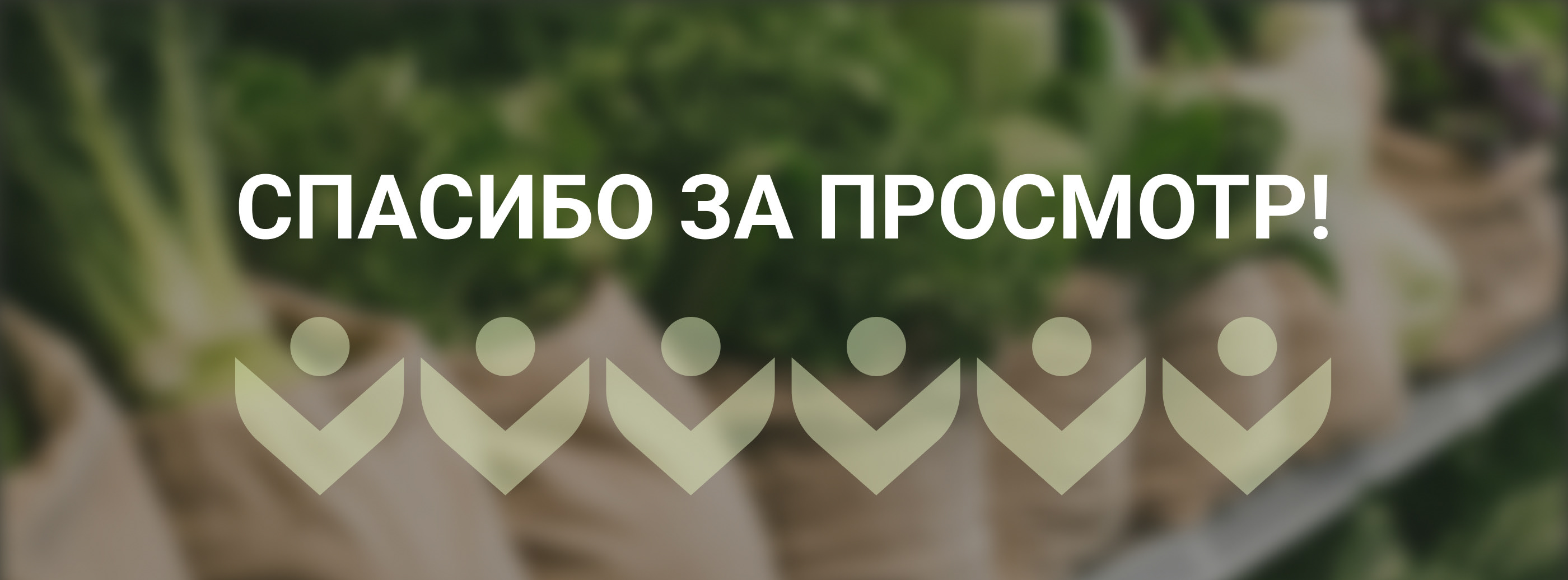 Многостраничный сайт для эко-фермы — Изображение №24 — Интерфейсы, Анимация на Dprofile