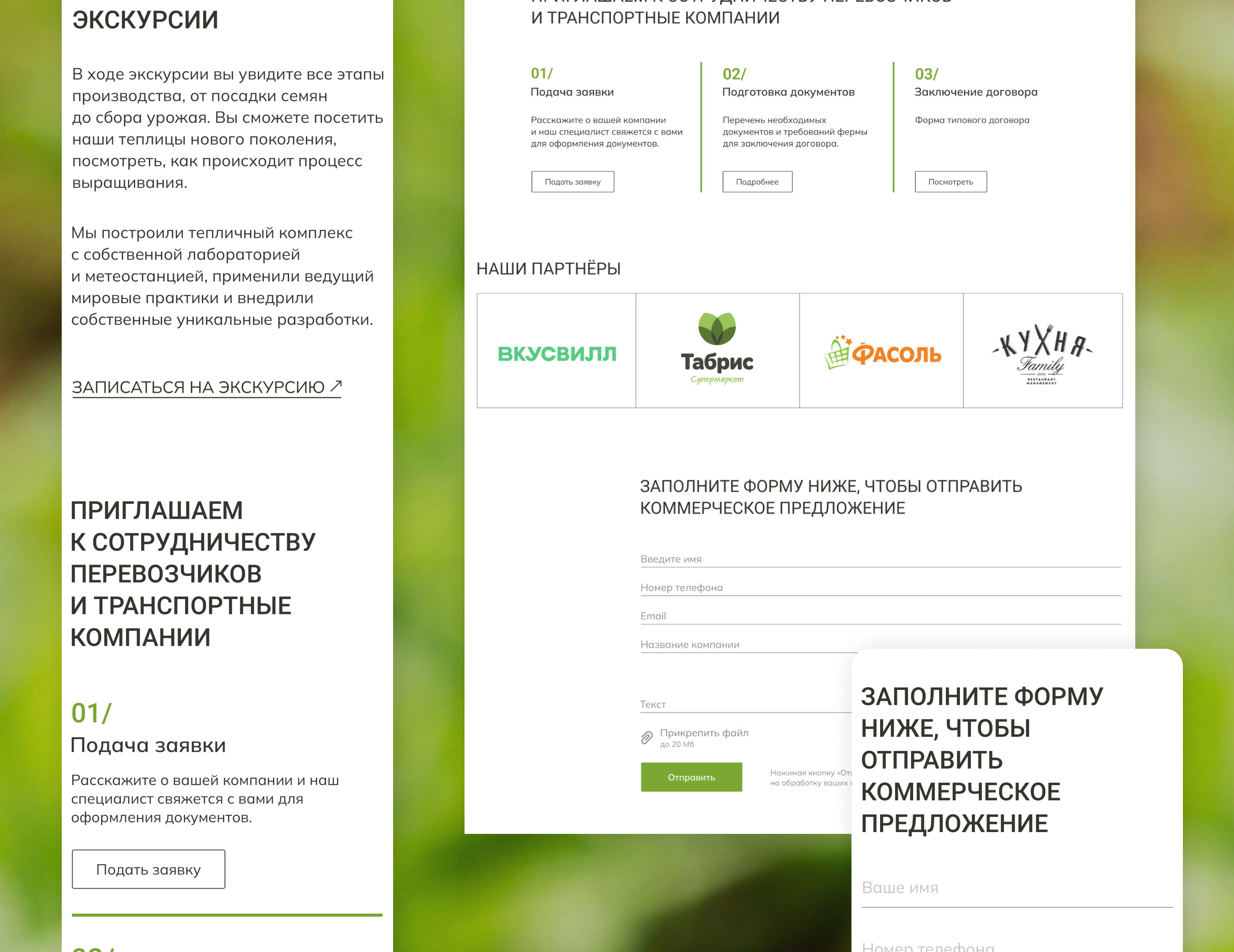 Многостраничный сайт для эко-фермы — Изображение №19 — Интерфейсы, Анимация на Dprofile