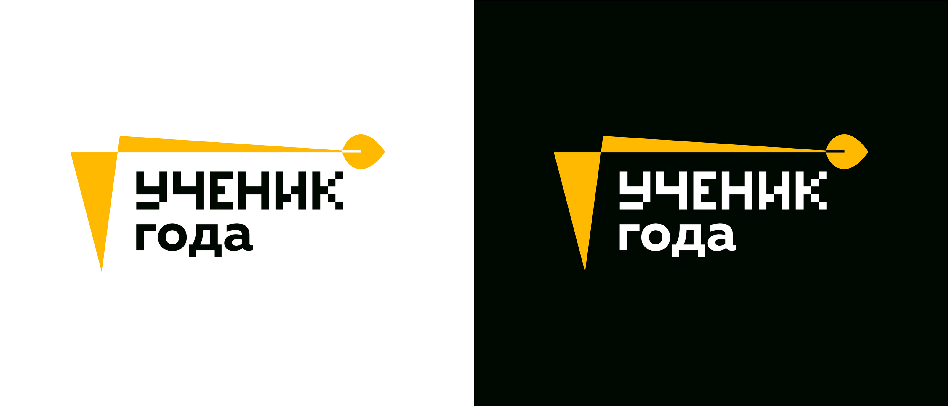 Фирменный стиль Ученик года 2022 — Изображение №14 — Брендинг на Dprofile