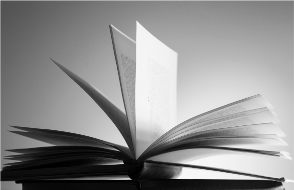 Брендбук музея печати «Литера» — Изображение №24 — Брендинг, Графика на Dprofile