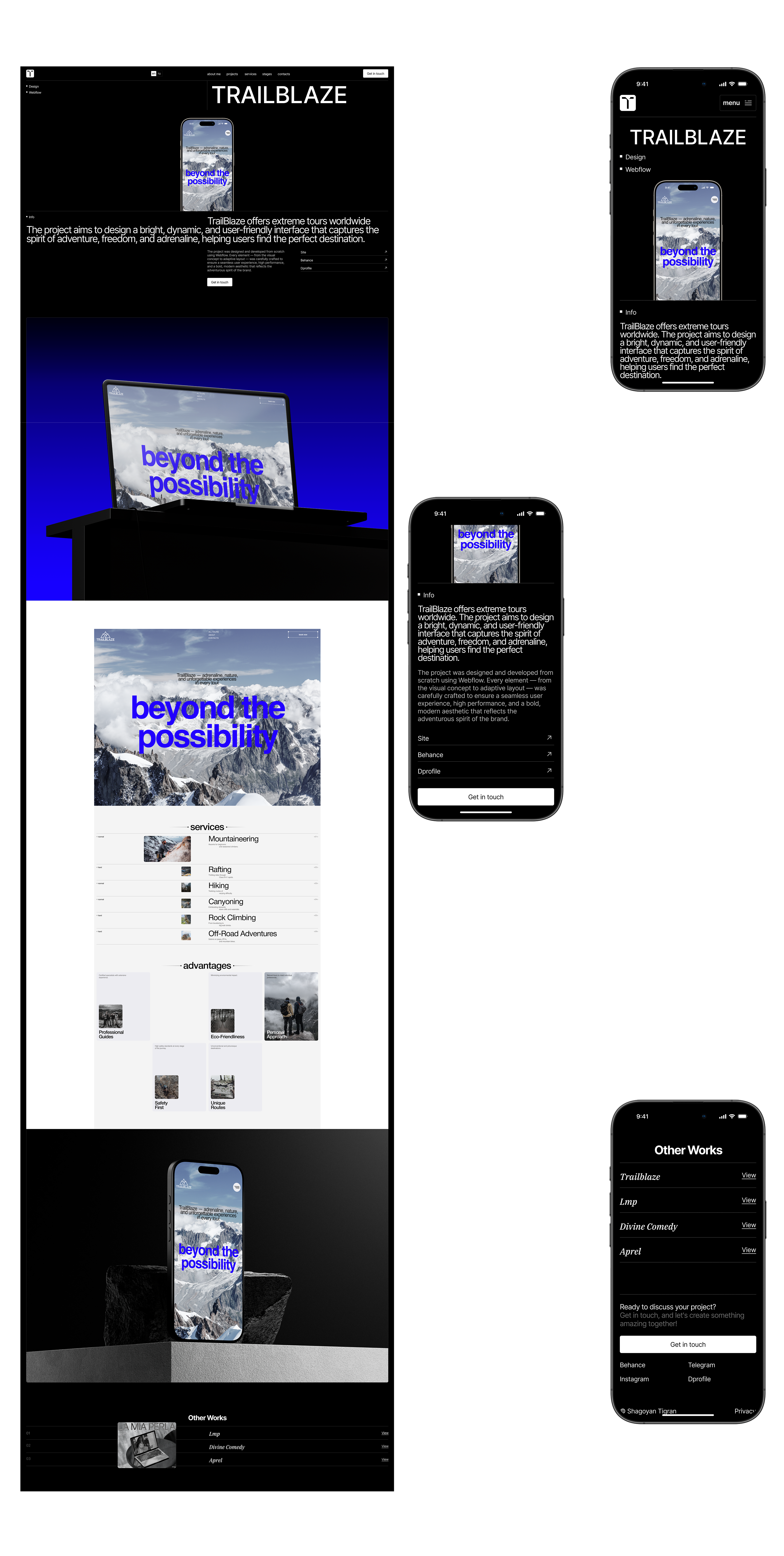 Tigran Shagoyan | Portfolio Website — Изображение №7 — Интерфейсы, Брендинг на Dprofile