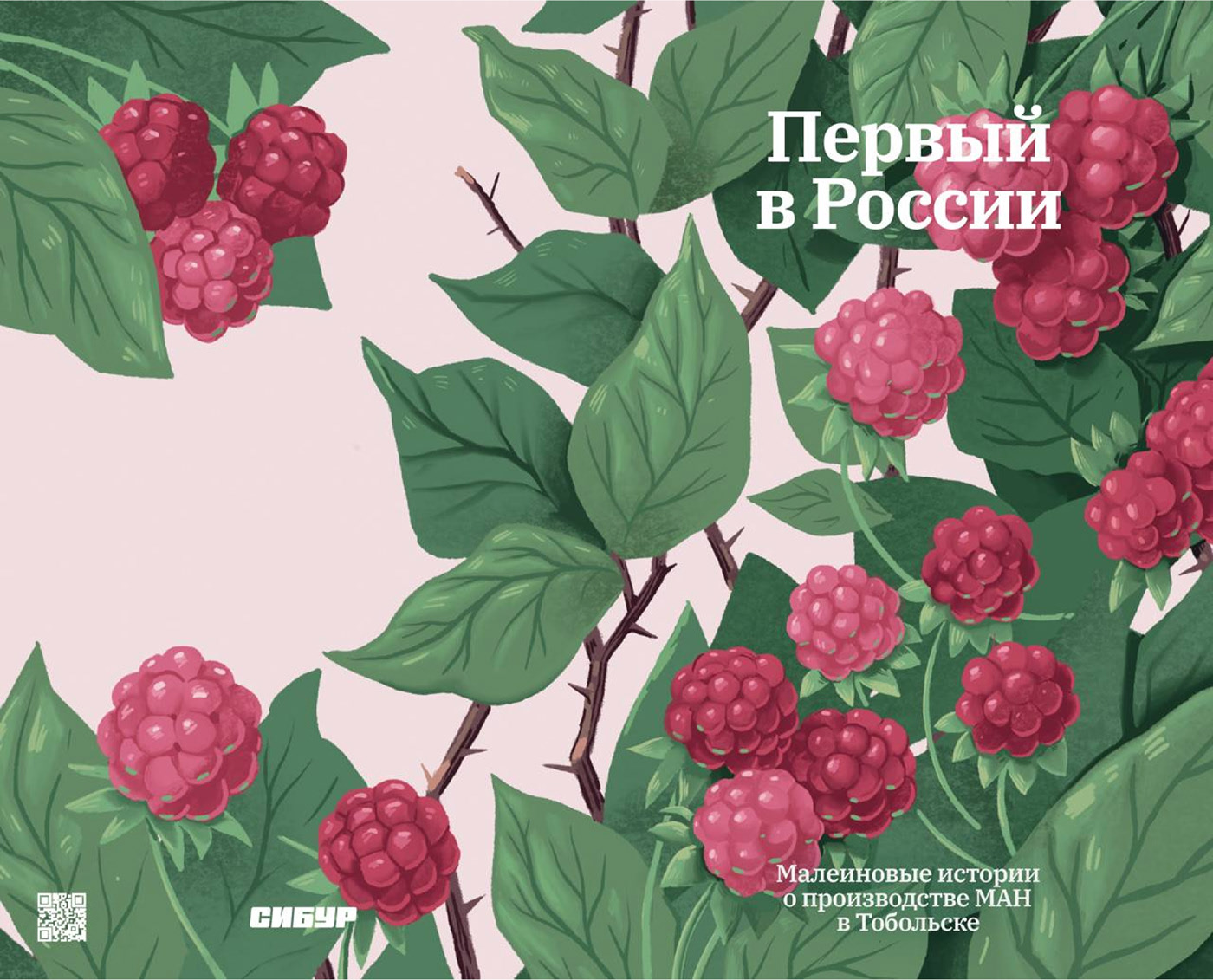 Буклет «МАН» — Изображение №1 — Иллюстрация, Графика на Dprofile